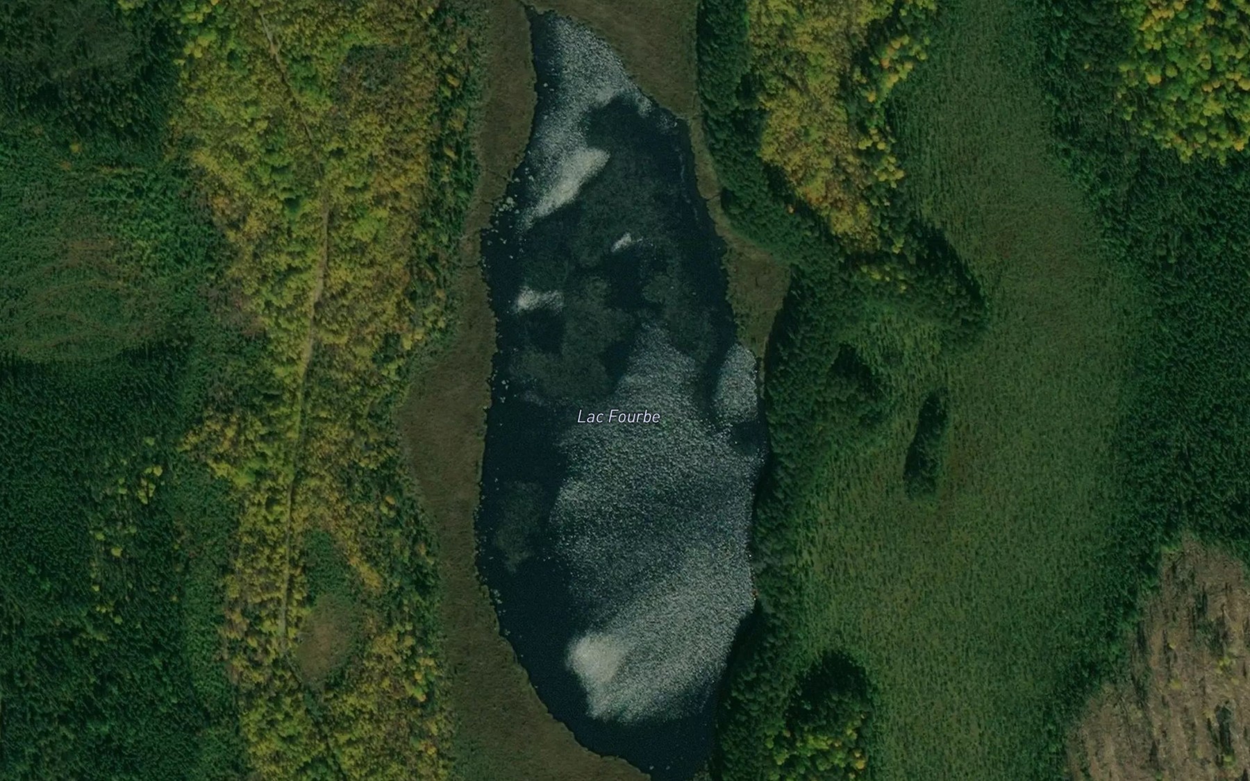 Satellite map of the Lac Fourbe