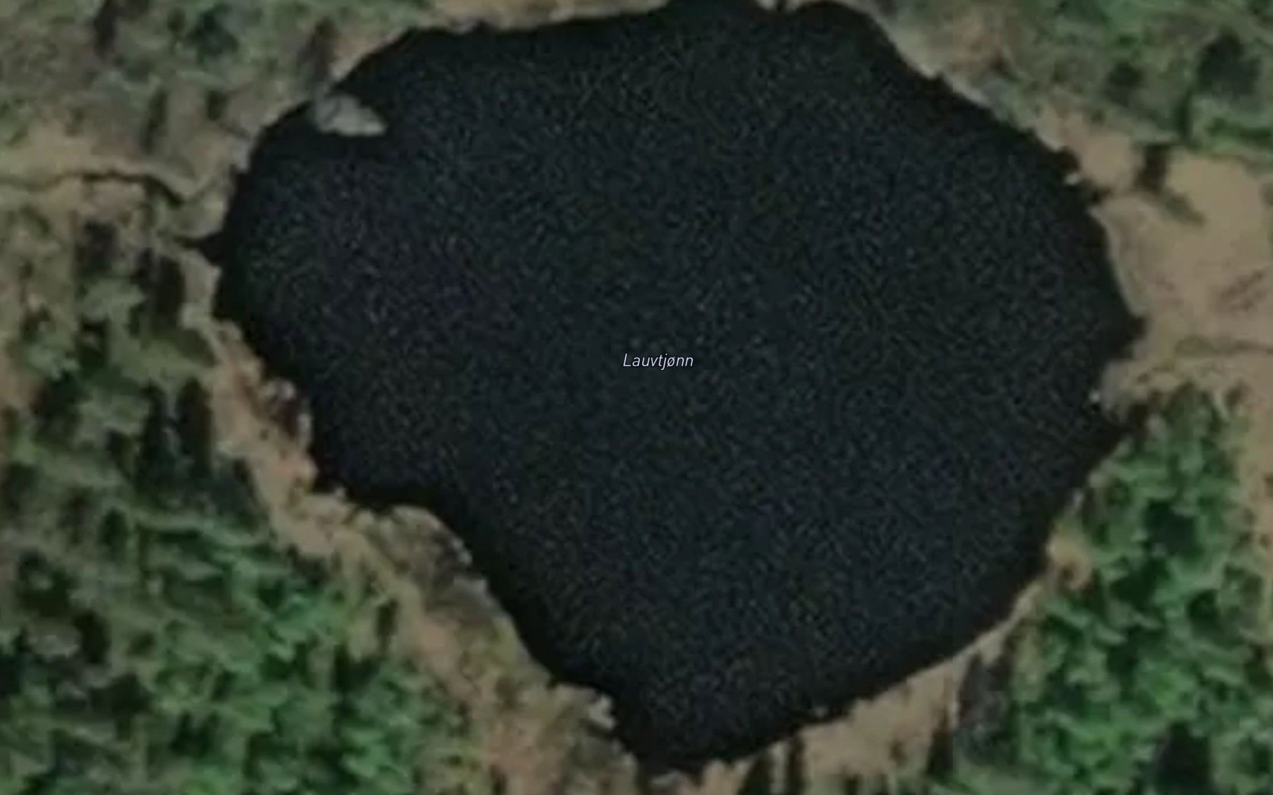 Lauvtjonn