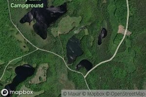 Orchid Lake