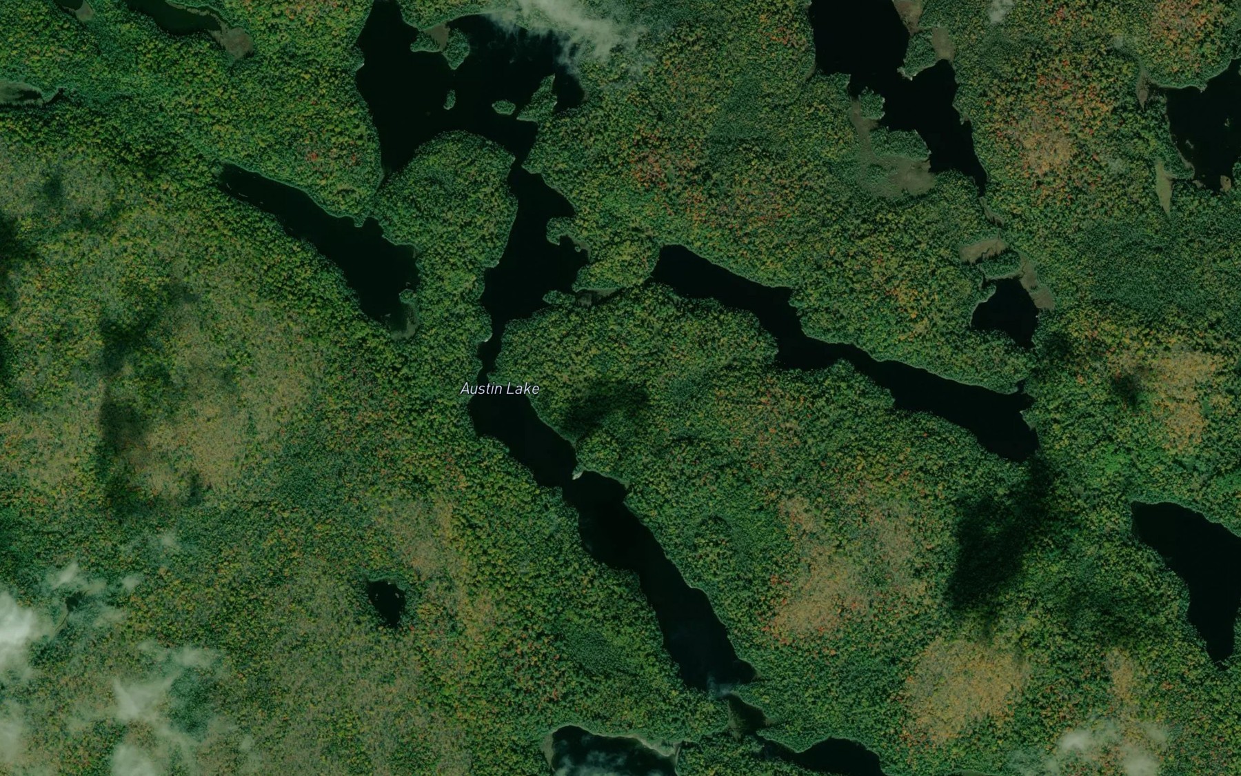 Satellite map of the Austin Lake