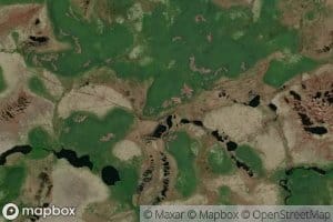 Beaver House Long Steady