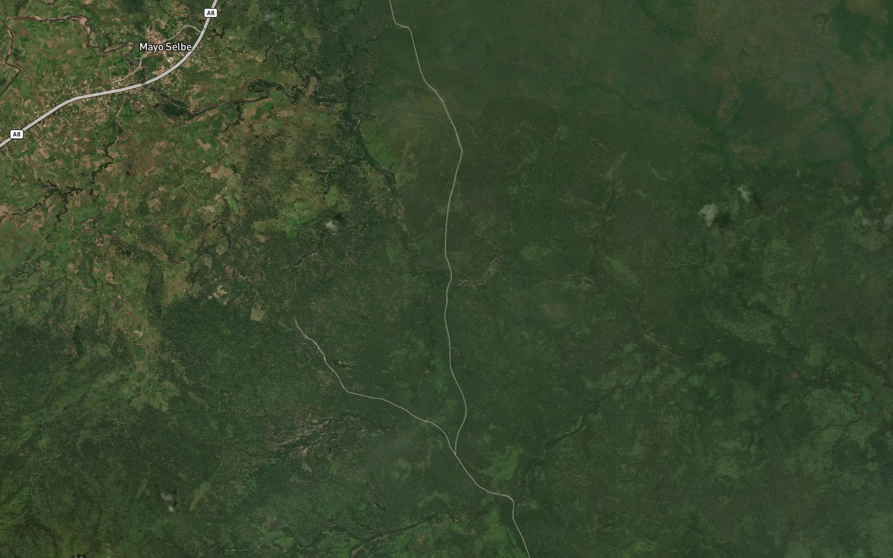 Satellite map of the River Tapare