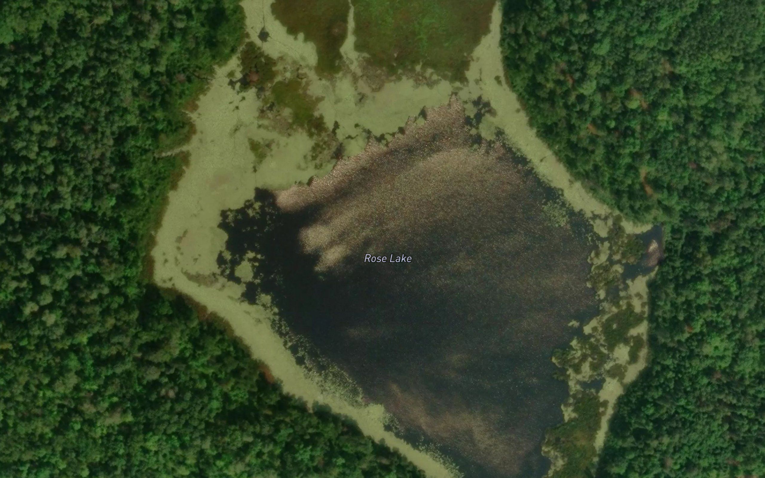 Rose Lake