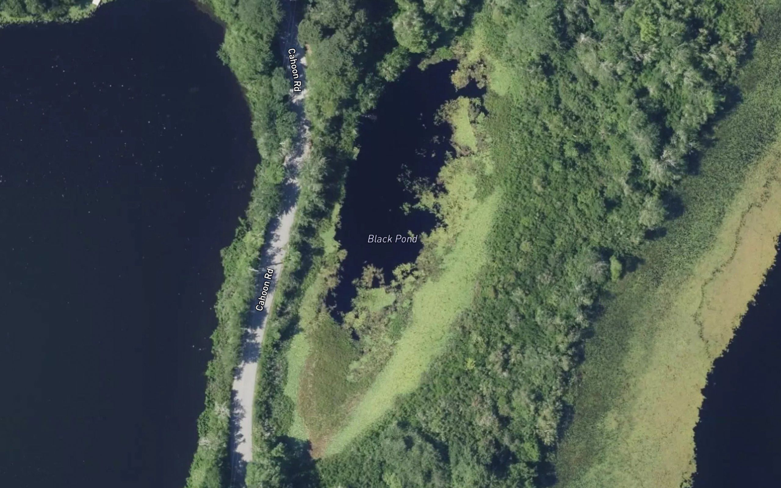 Black Pond