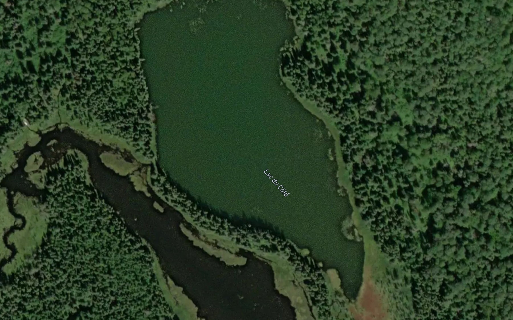 Satellite map of the Lac du Cote