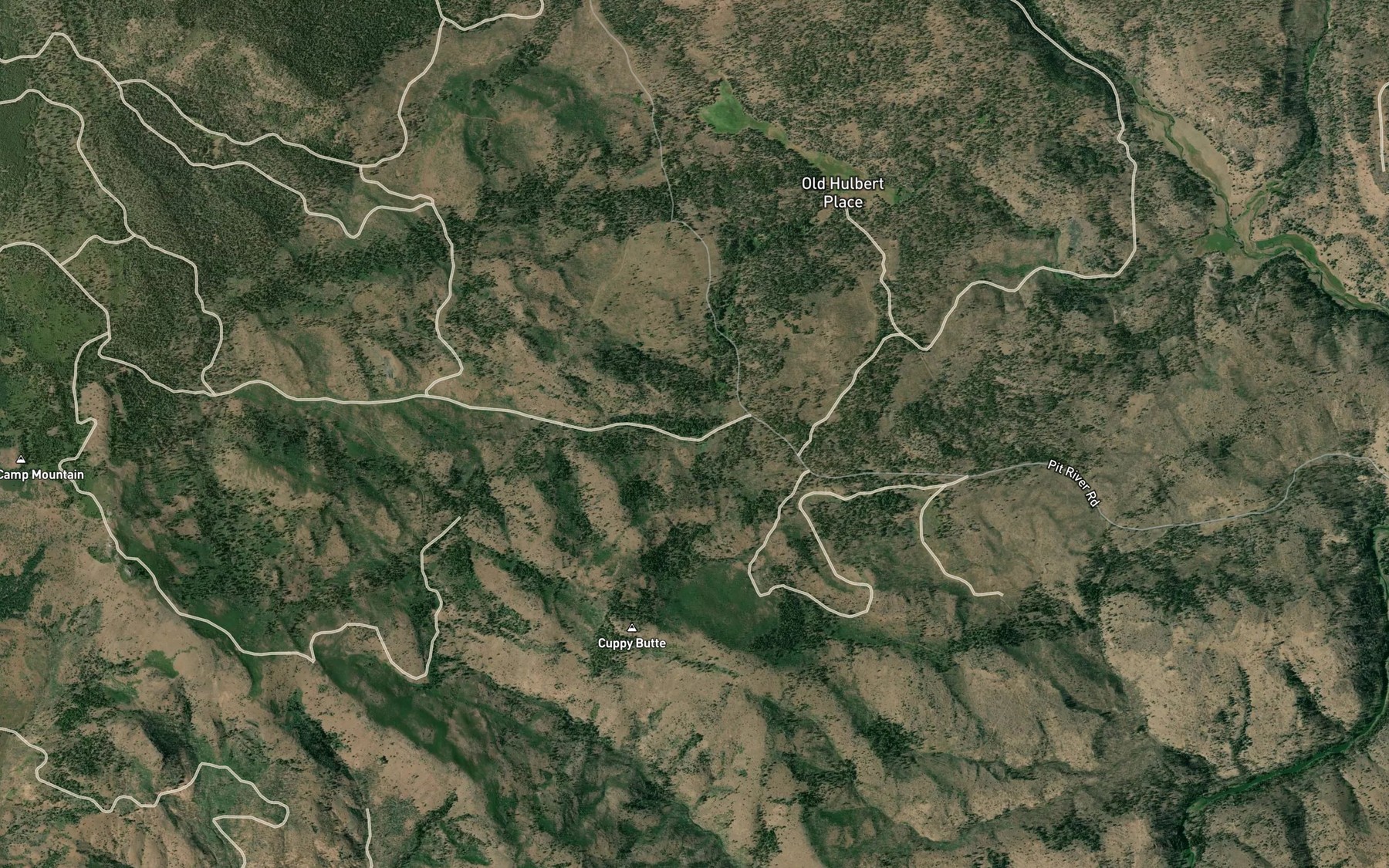 Satellite map of the Cedar Spring