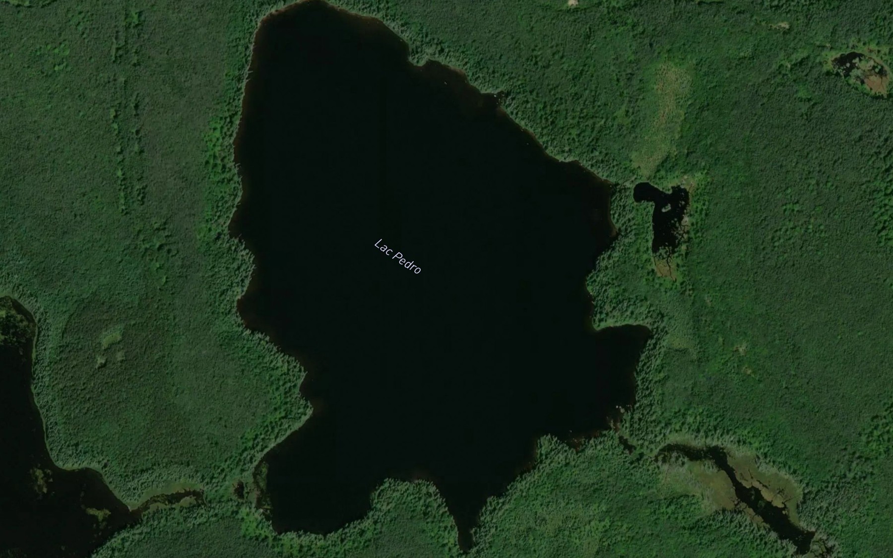 Satellite map of the Lac Pedro