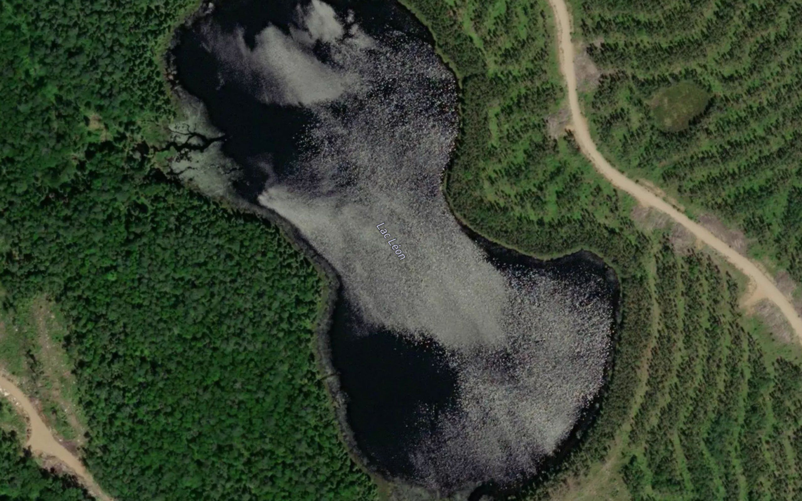 Lac Leon