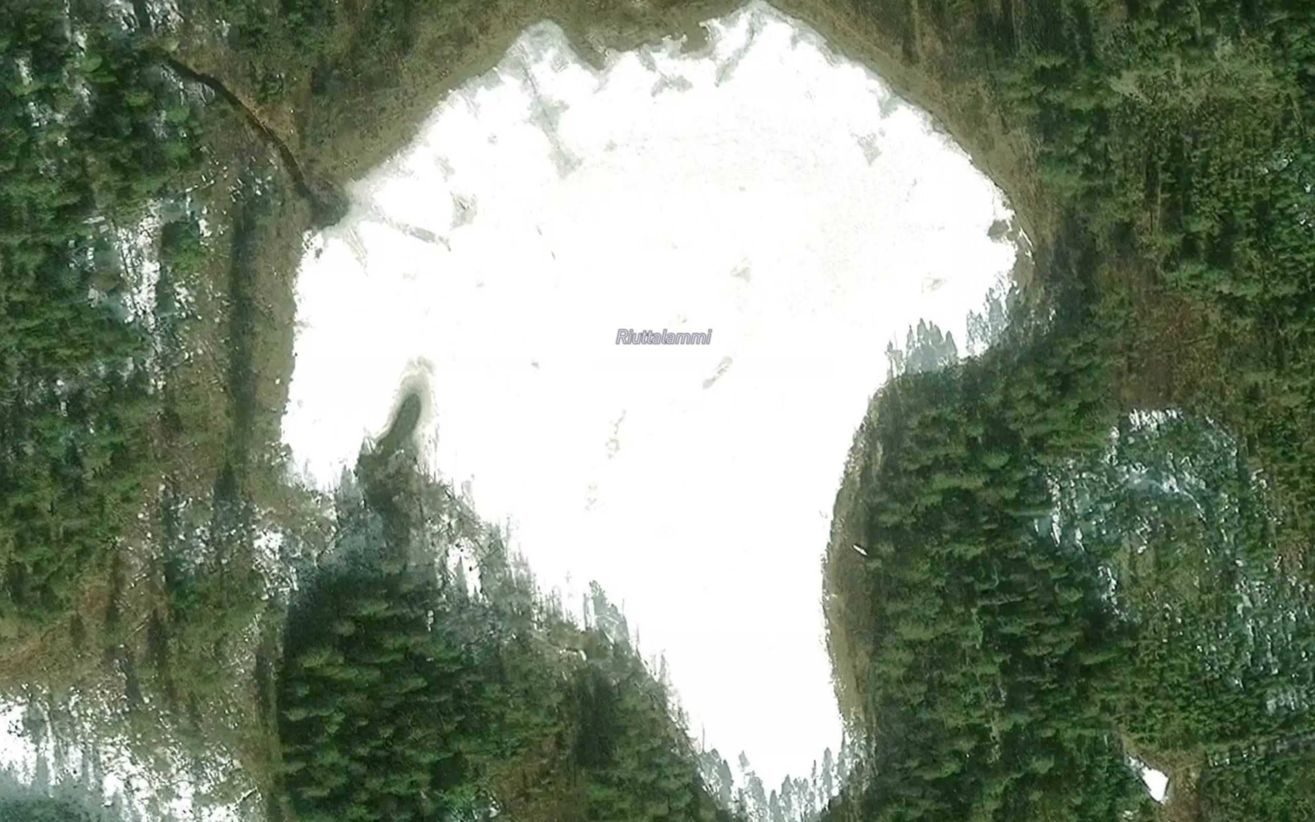 Riuttalammi