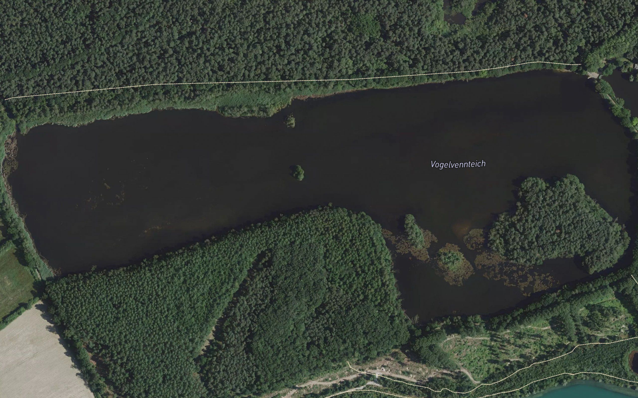 Vogelvennteich