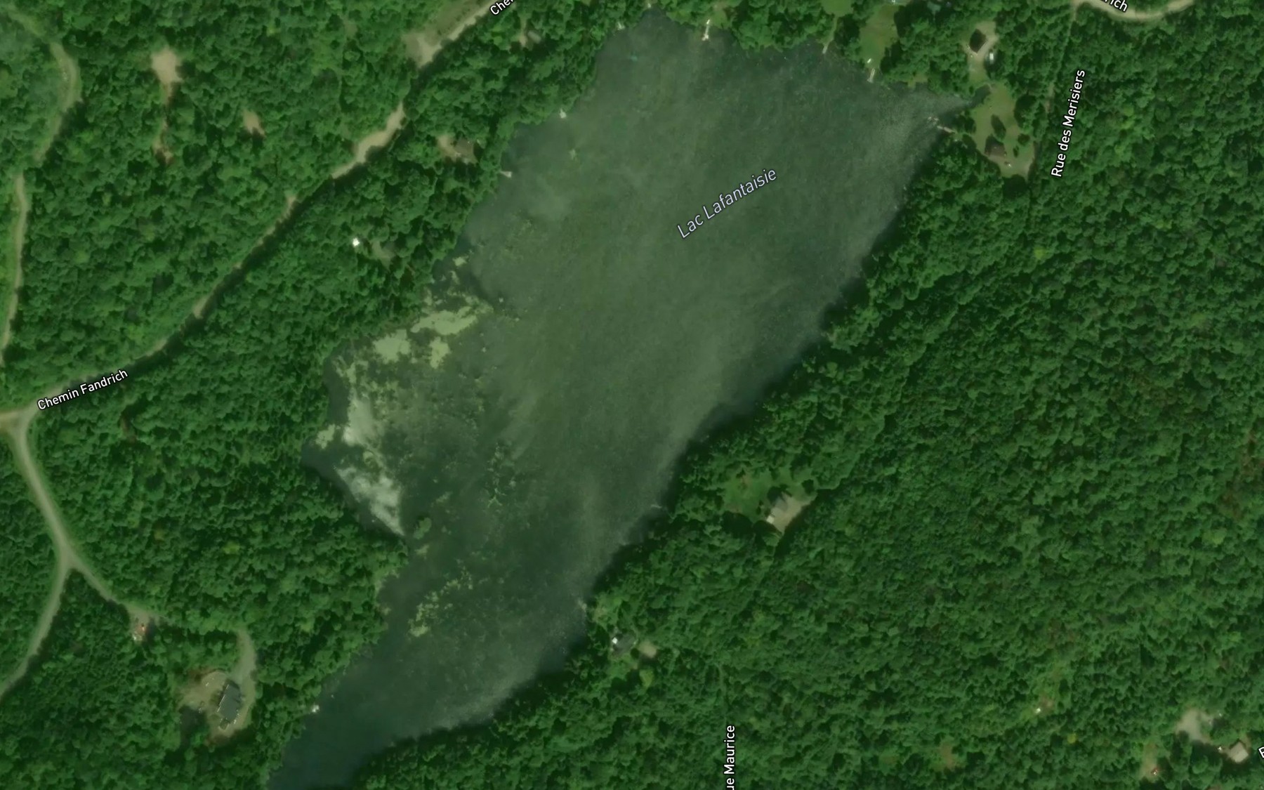 Satellite map of the Lac Lafantaisie