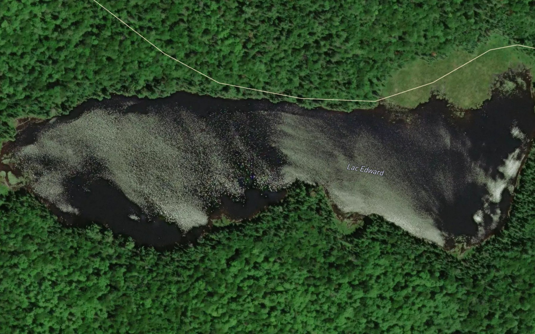 Satellite map of the Lac Edward