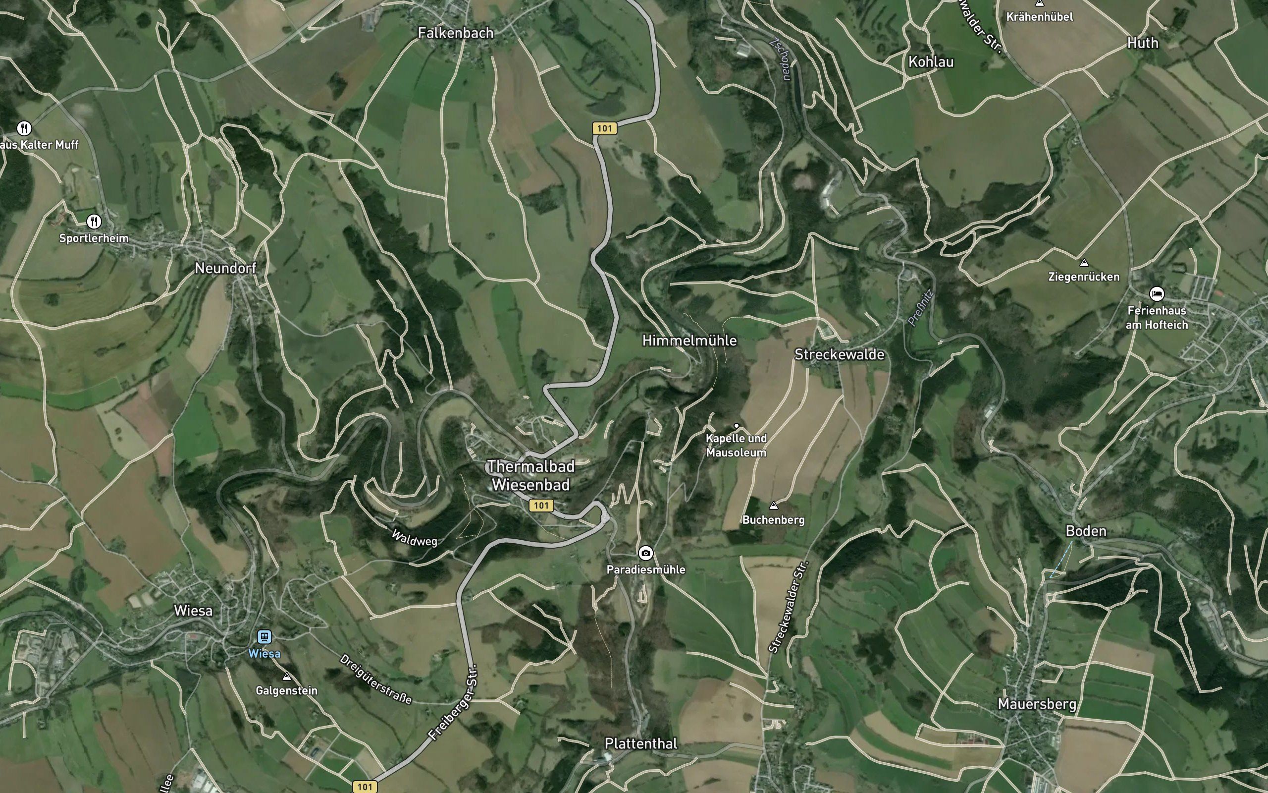 Polava