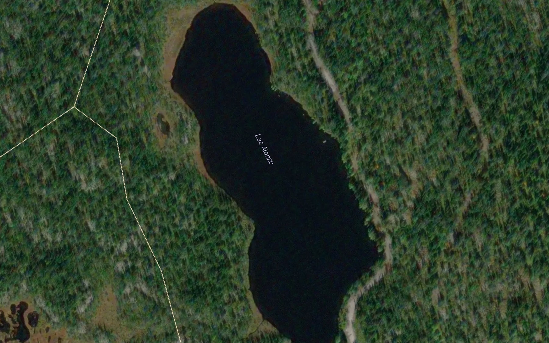 Satellite map of the Lac Alonzo