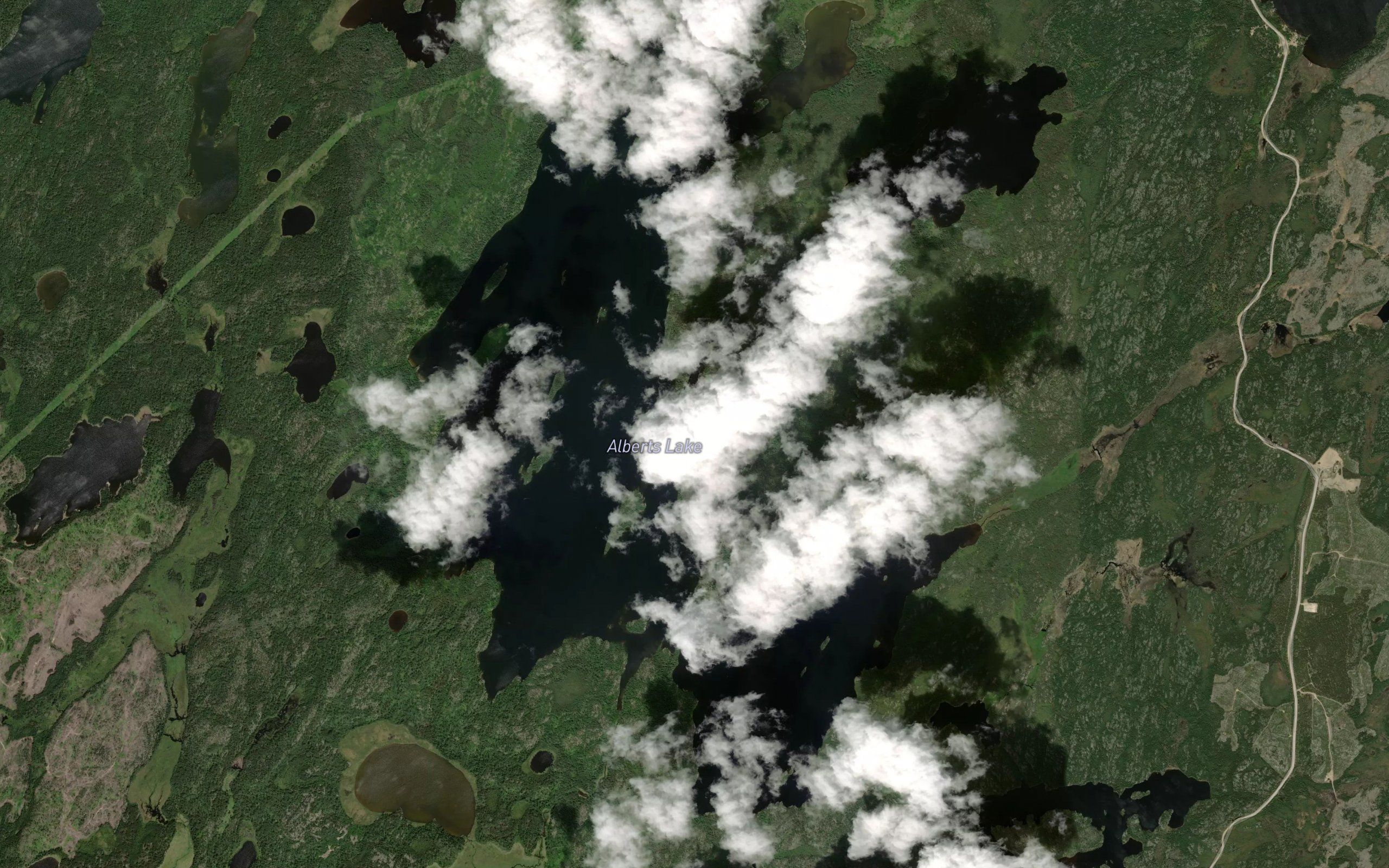 Alberts Lake