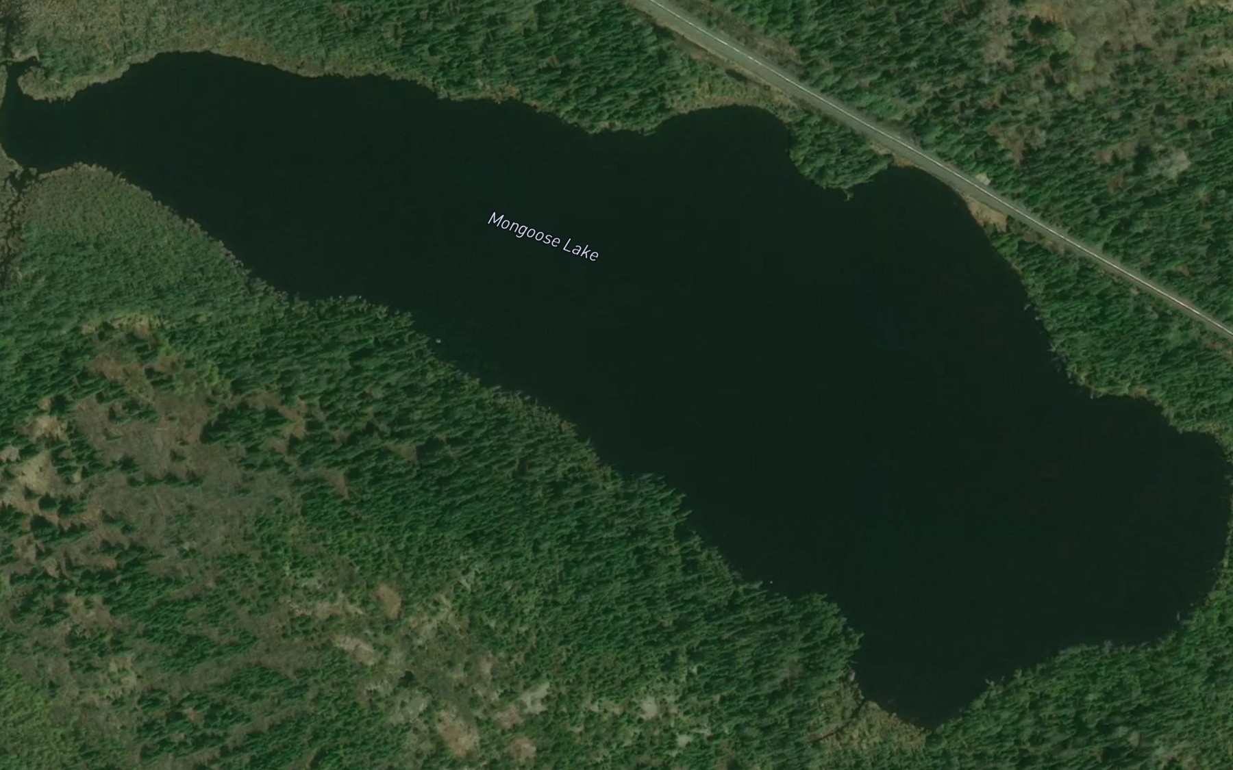 Satellite map of the Mongoose Lake