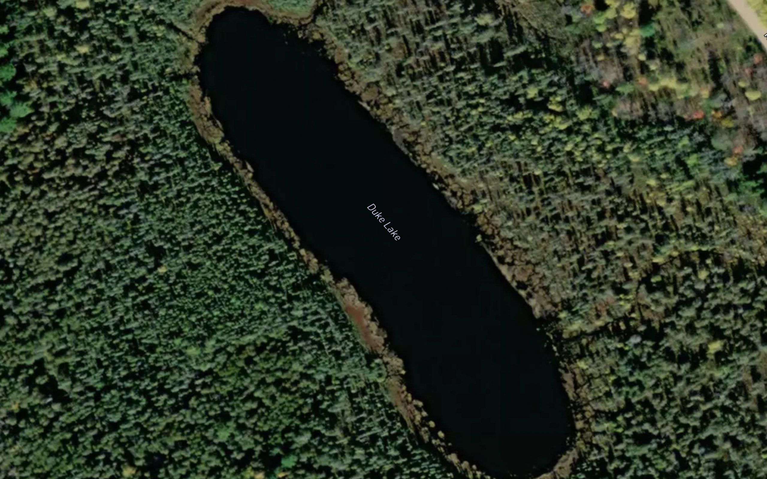 Duke Lake