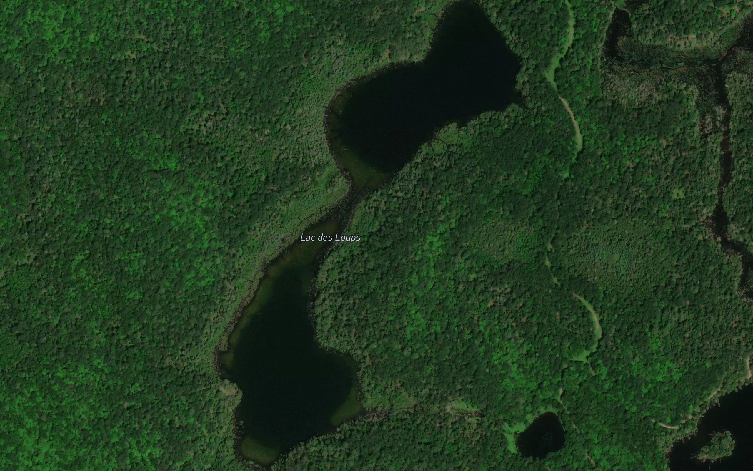Lac des Loups