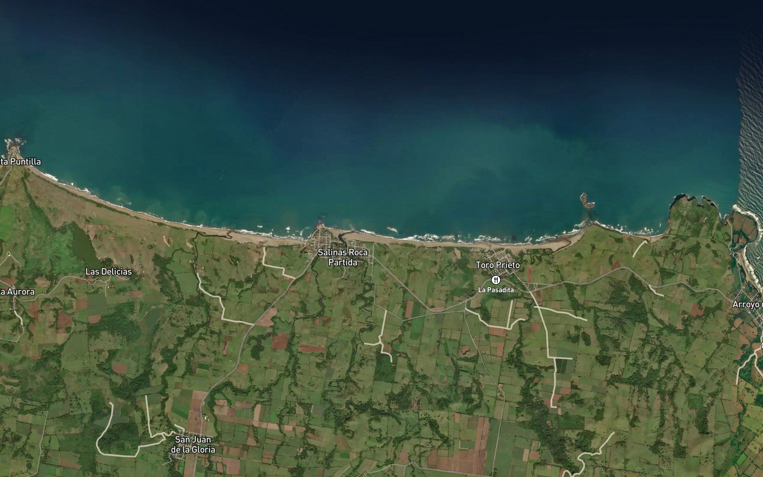 Salinas