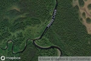 Moose Creek