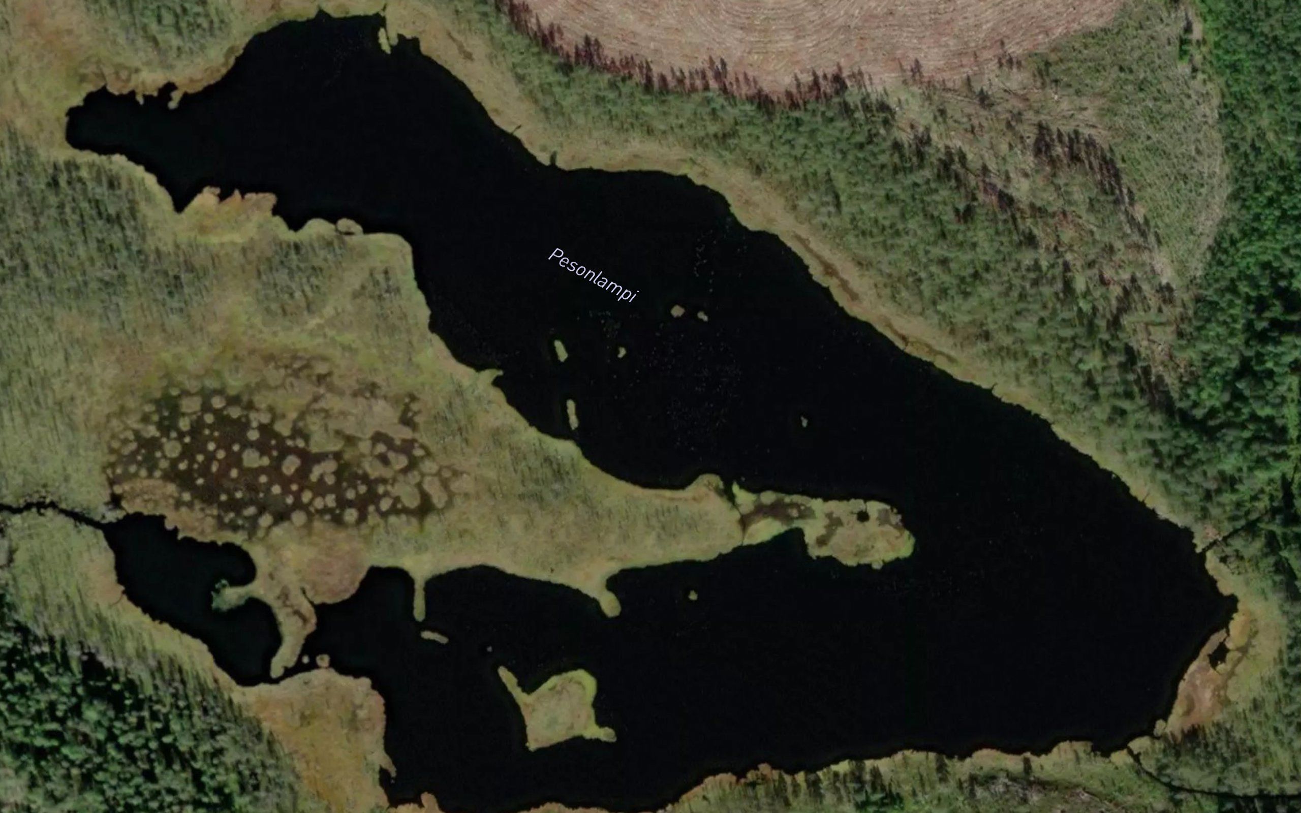 Pesonlampi