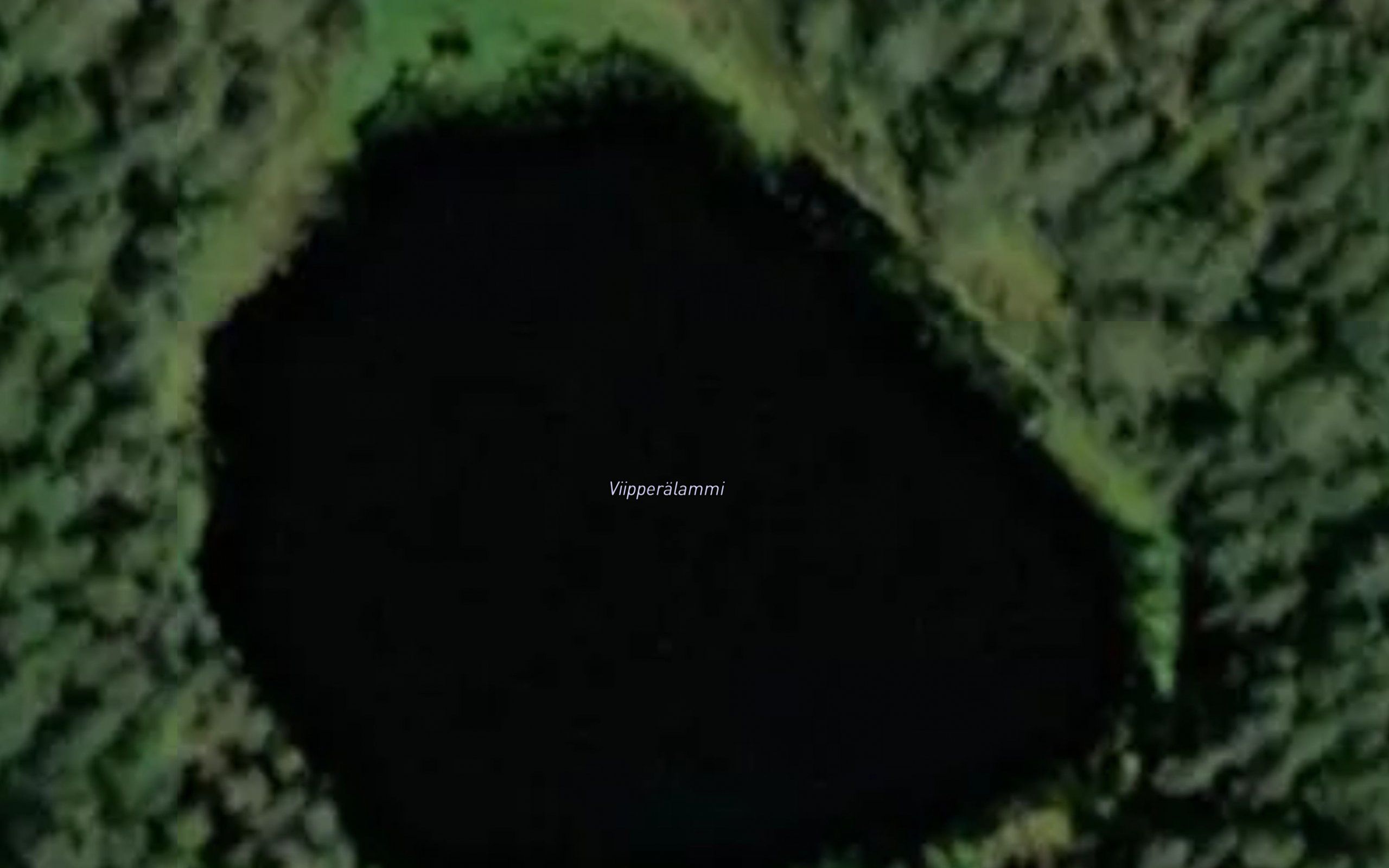 Viipperalammi