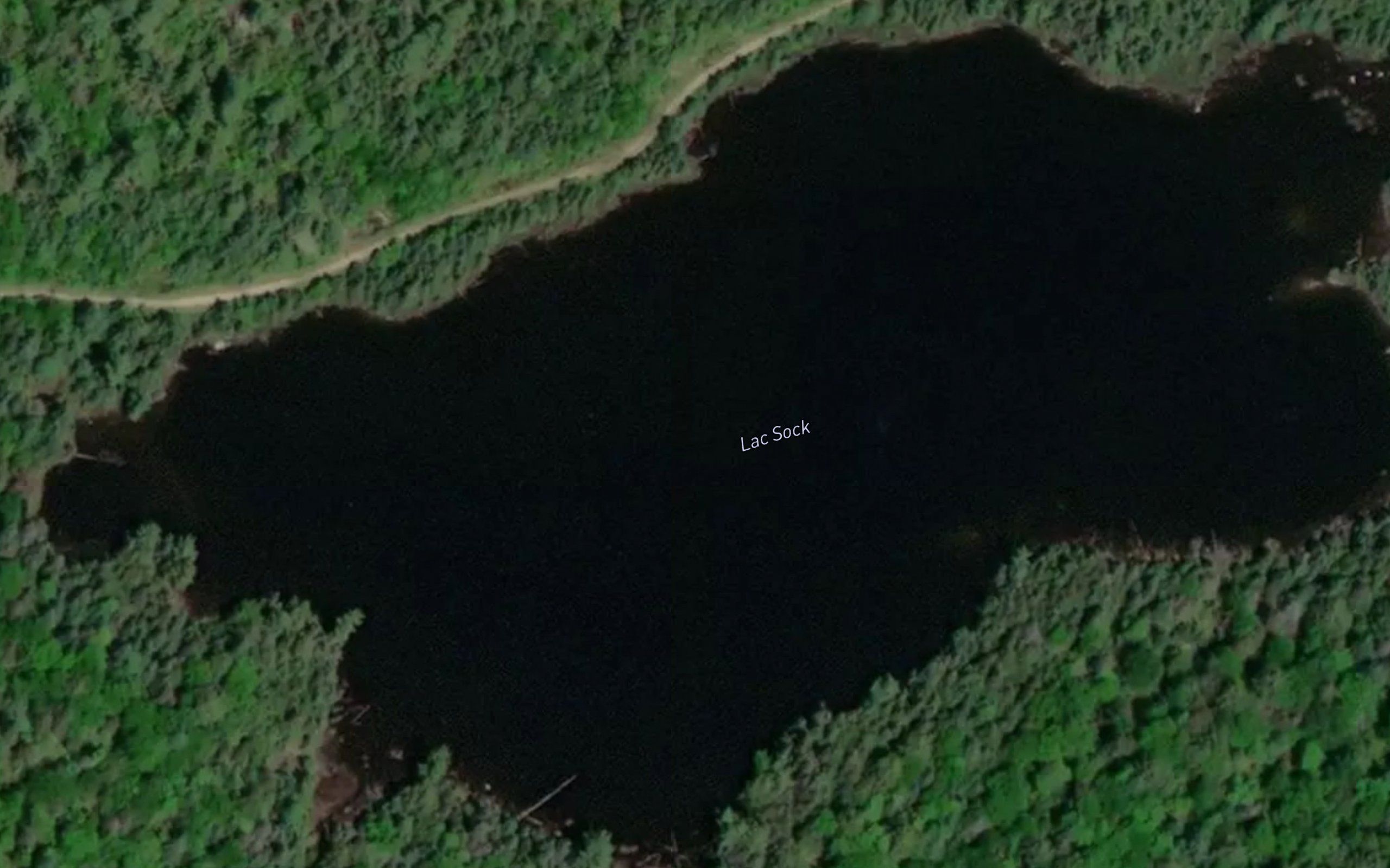 Lac Sock