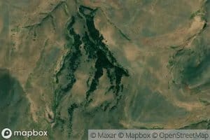 16N11E31DC__01 Spring