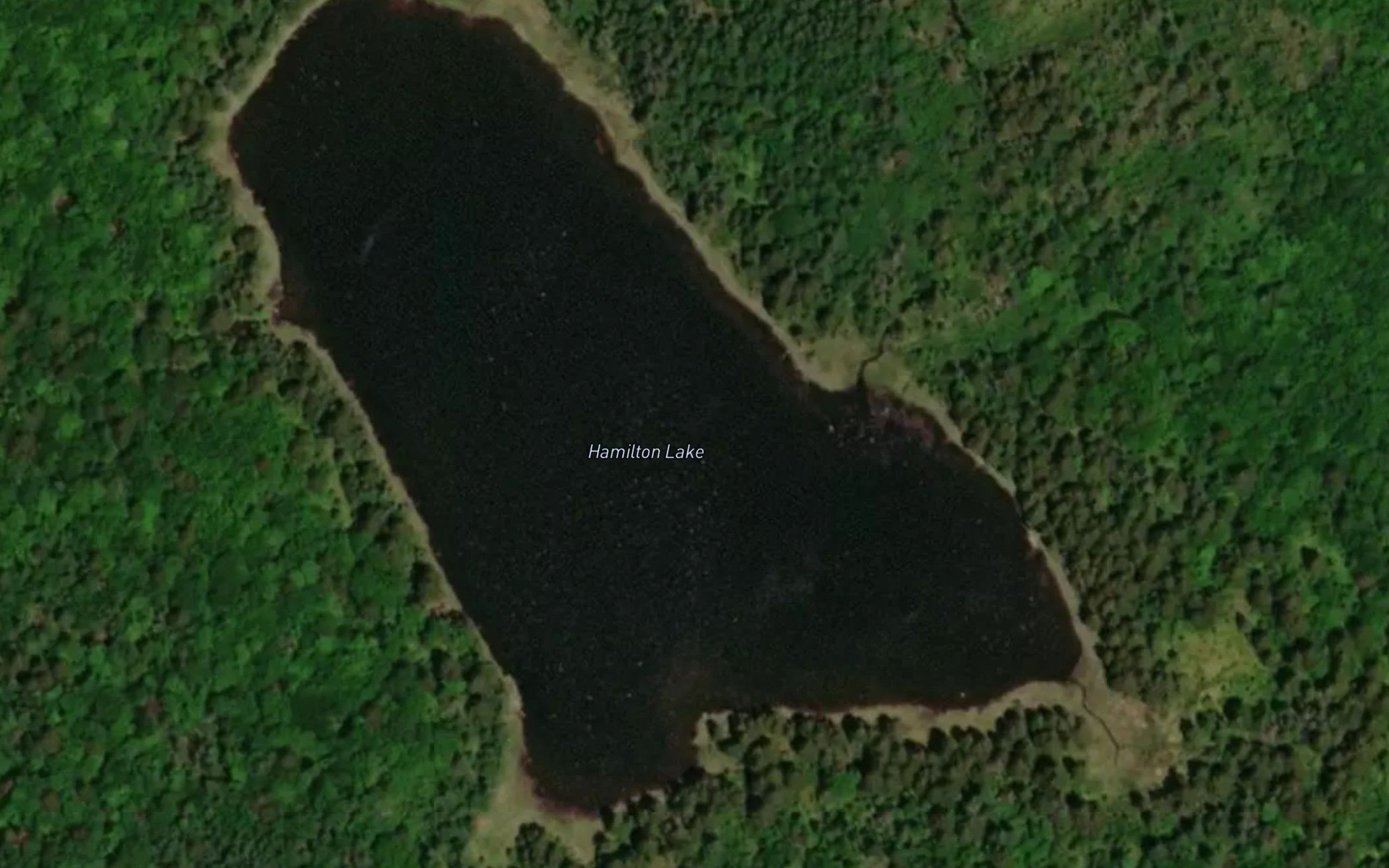 Hamilton Lake