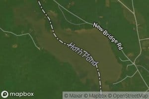 Horn Pond
