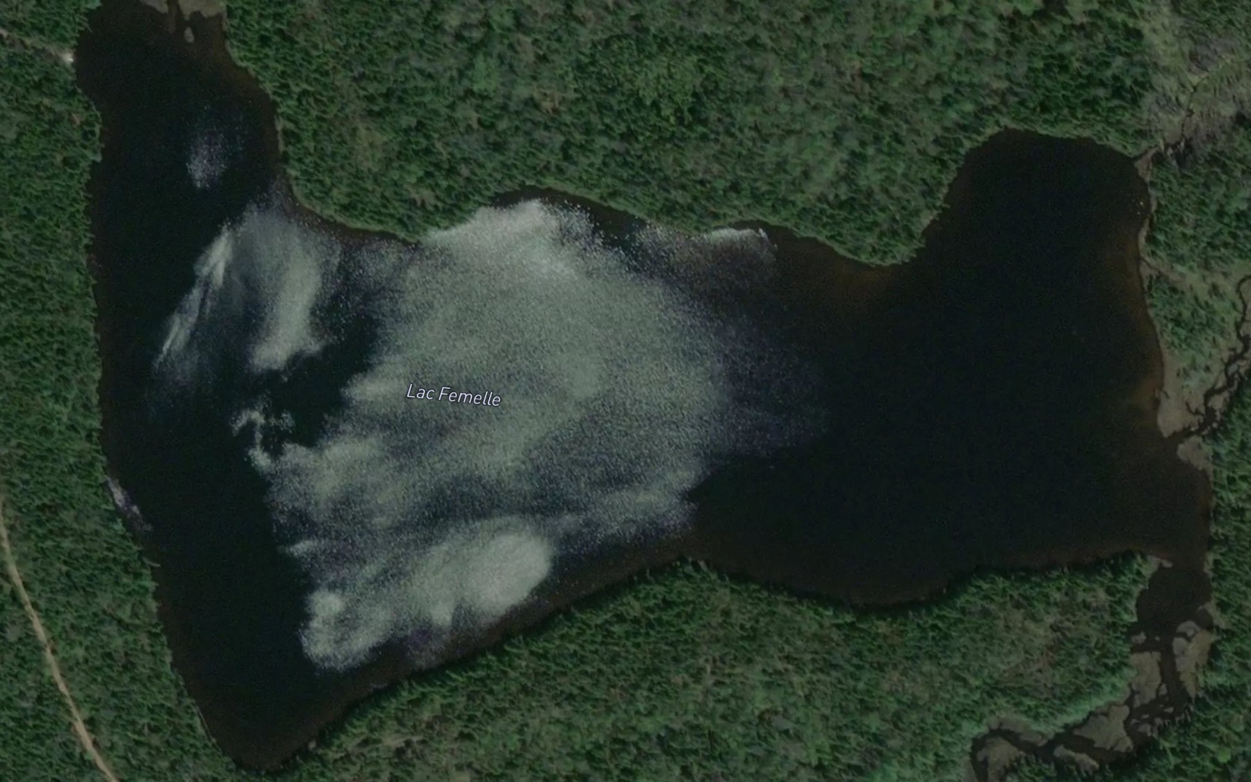 Satellite map of the Lac Femelle