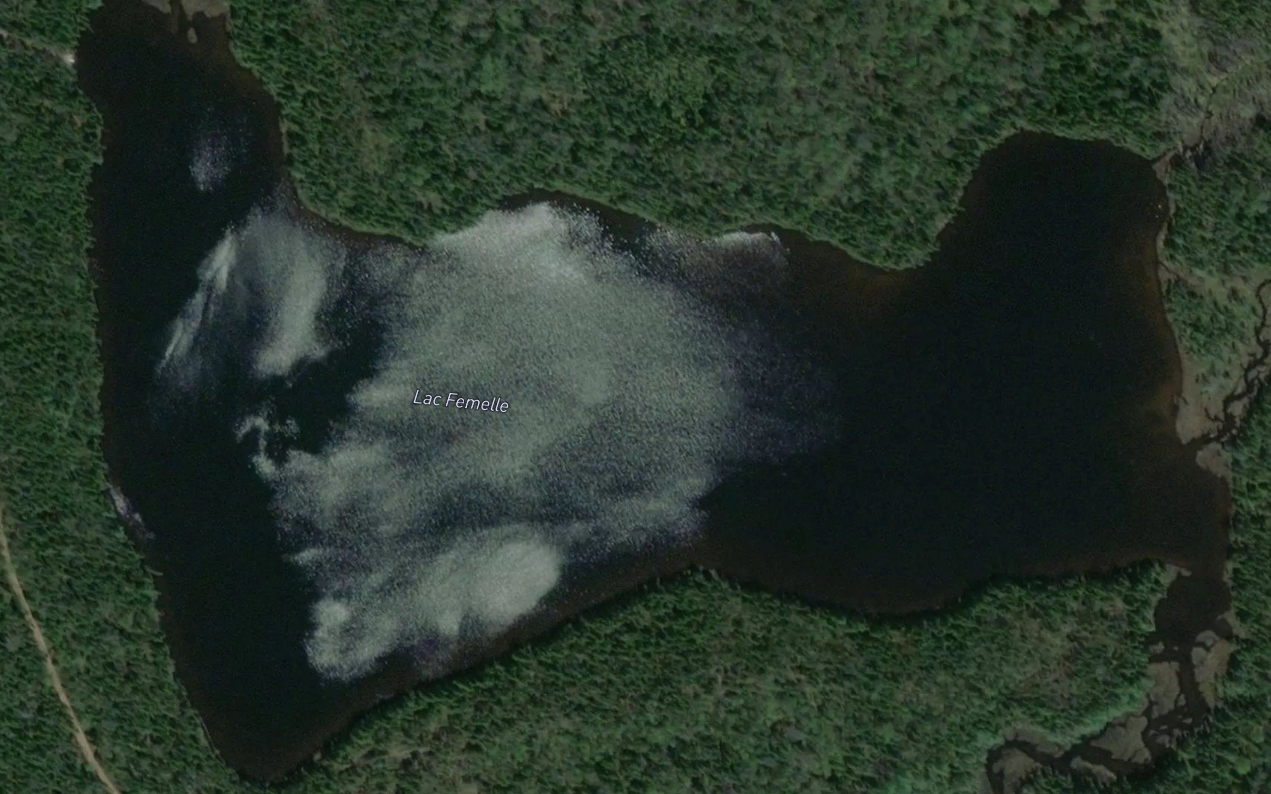 Lac Femelle