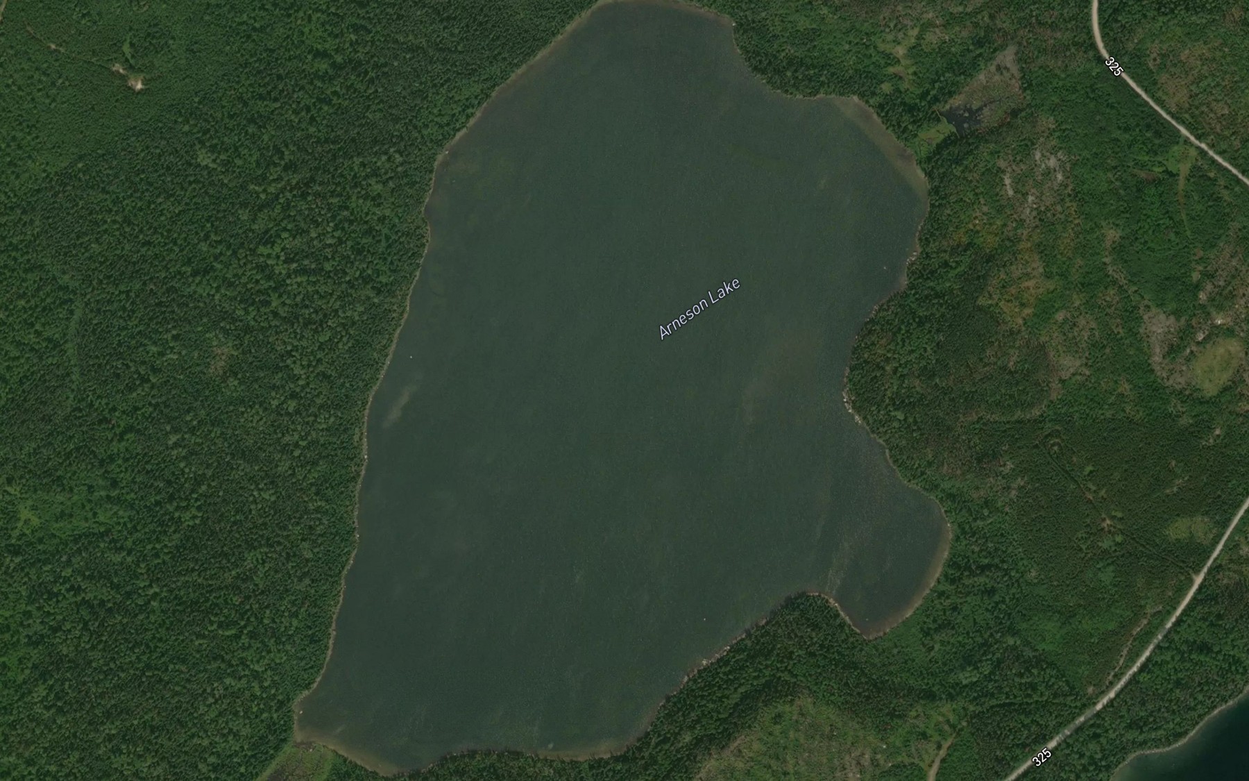 Satellite map of the Arneson Lake
