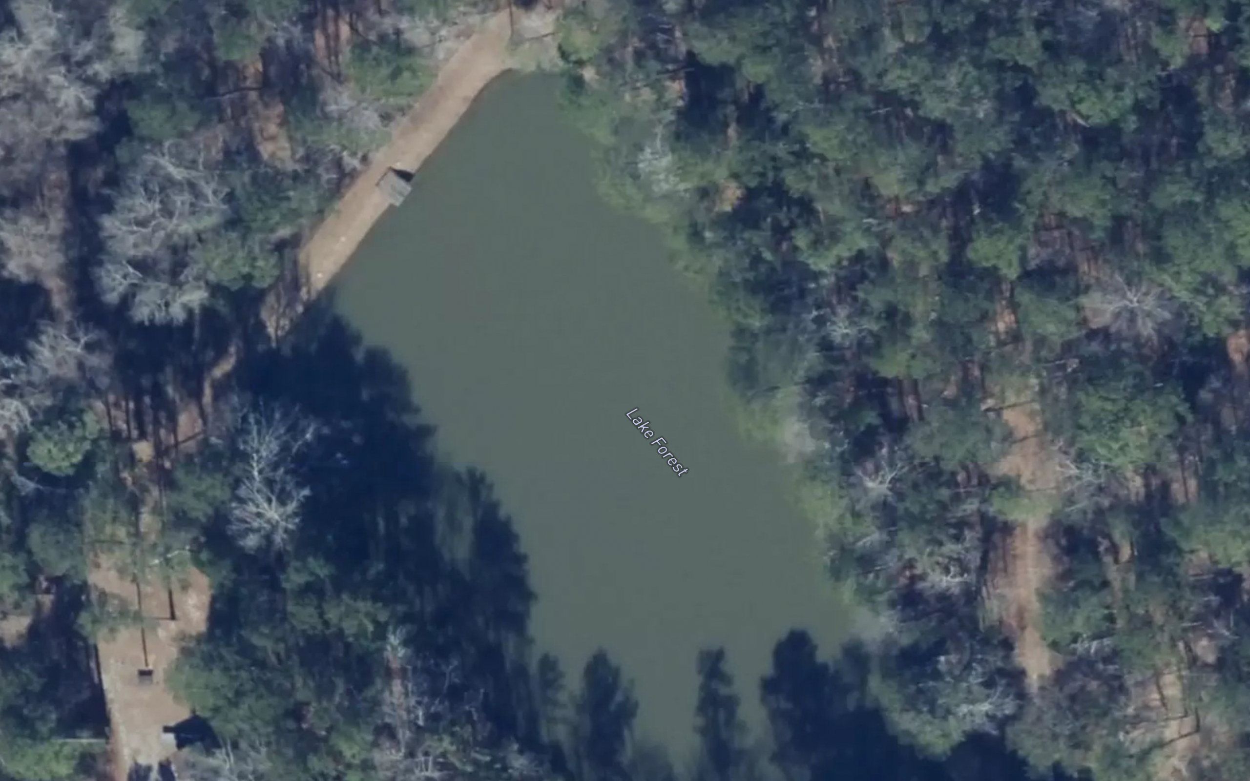Lake Forest