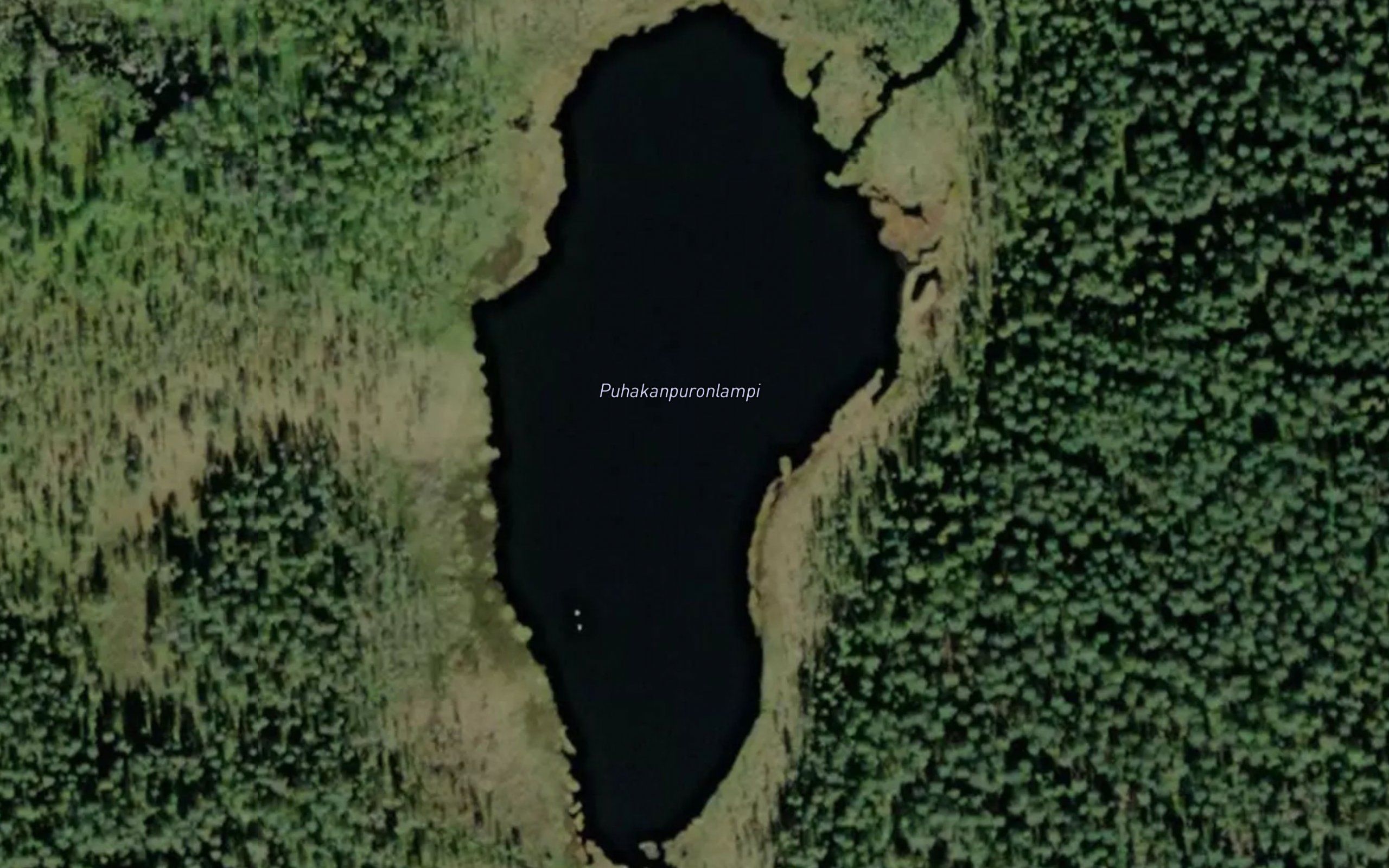 Puhakanpuronlampi