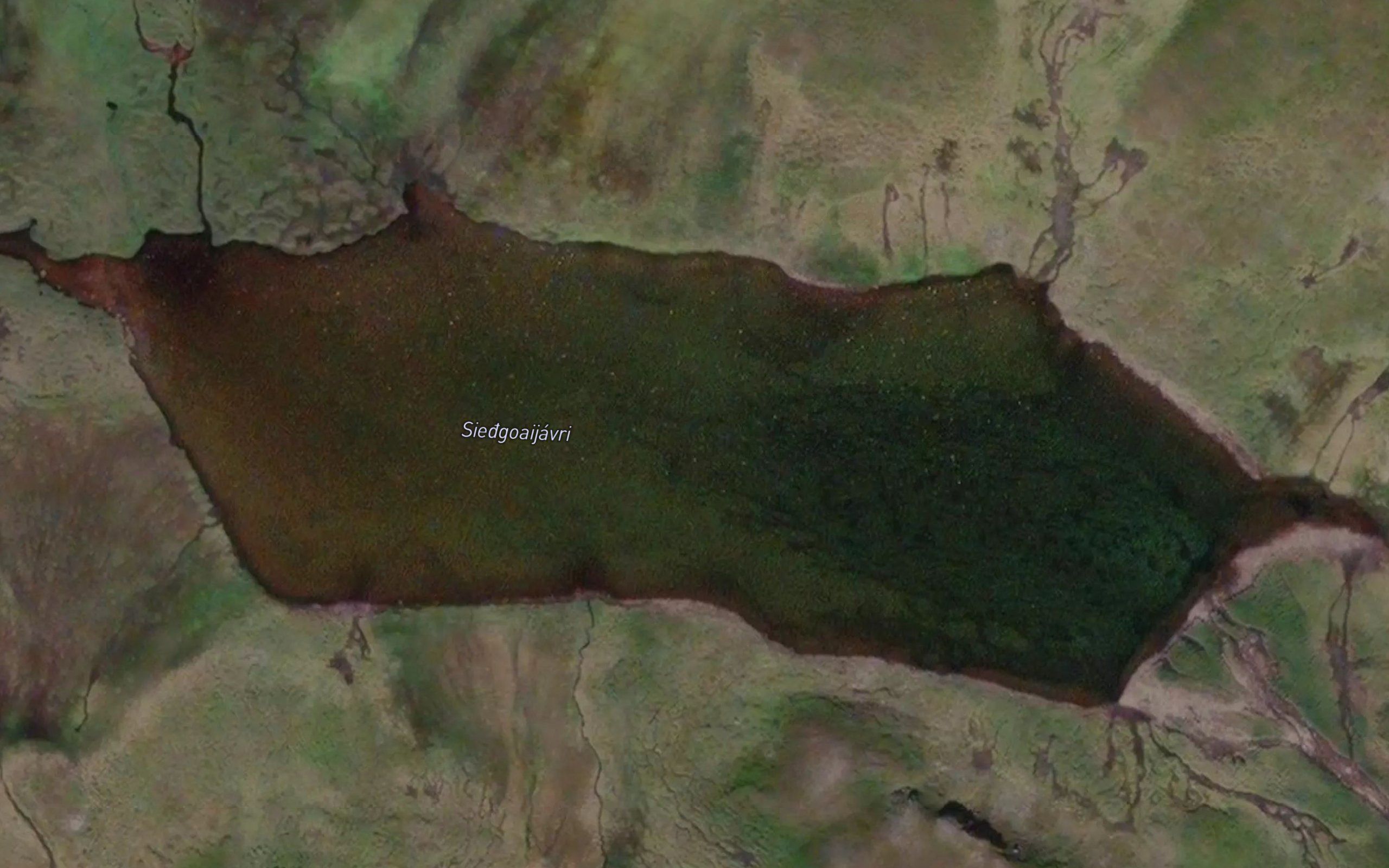 Sieggoaijavri