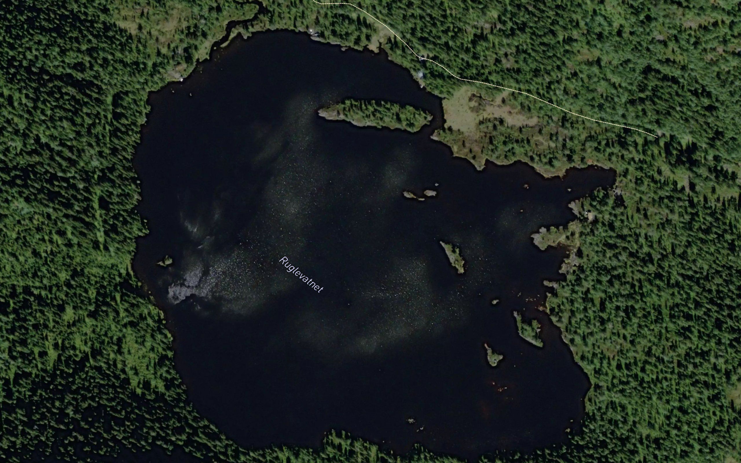 Roglevann