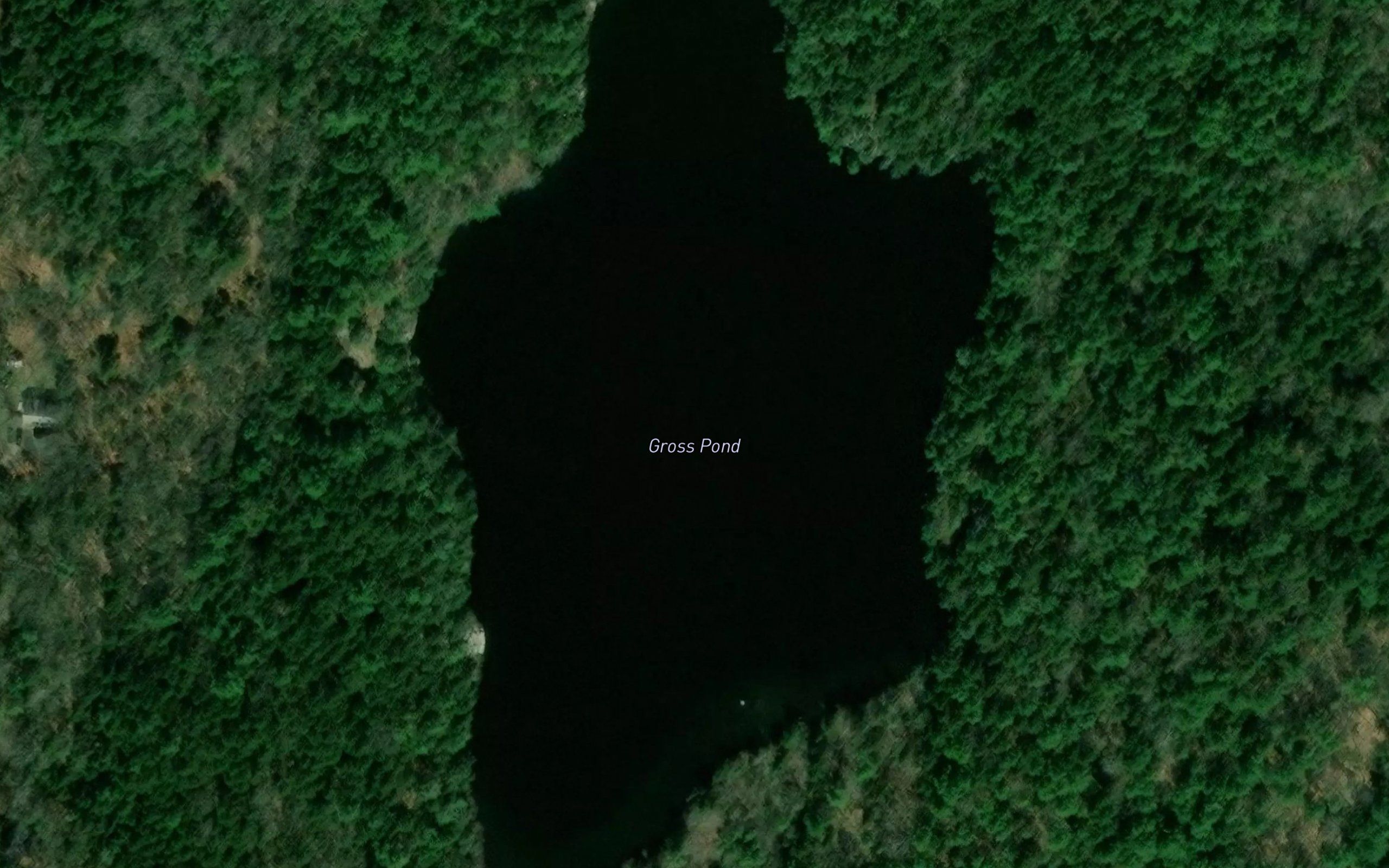 Gross Pond