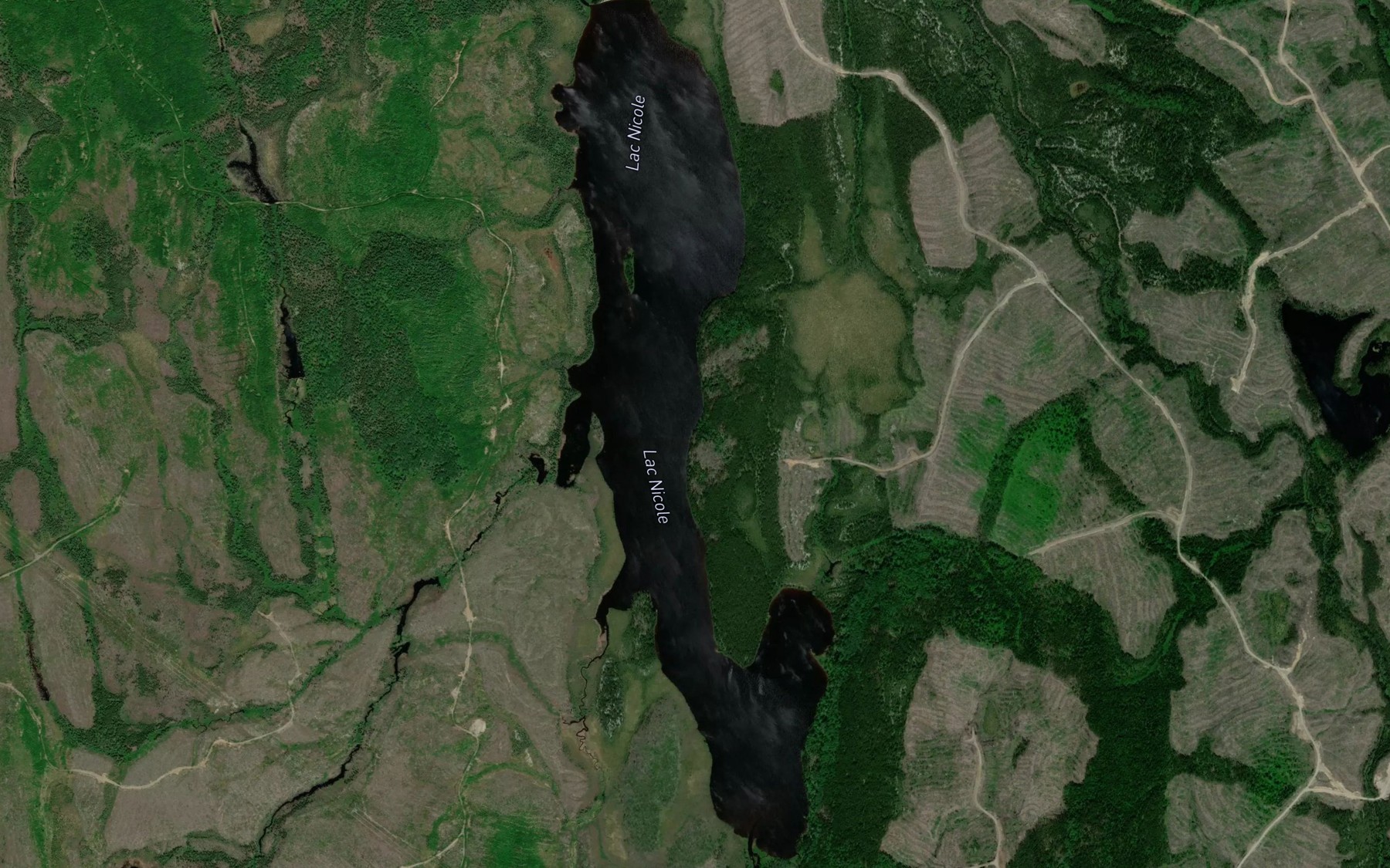 Satellite map of the Lac Nicole