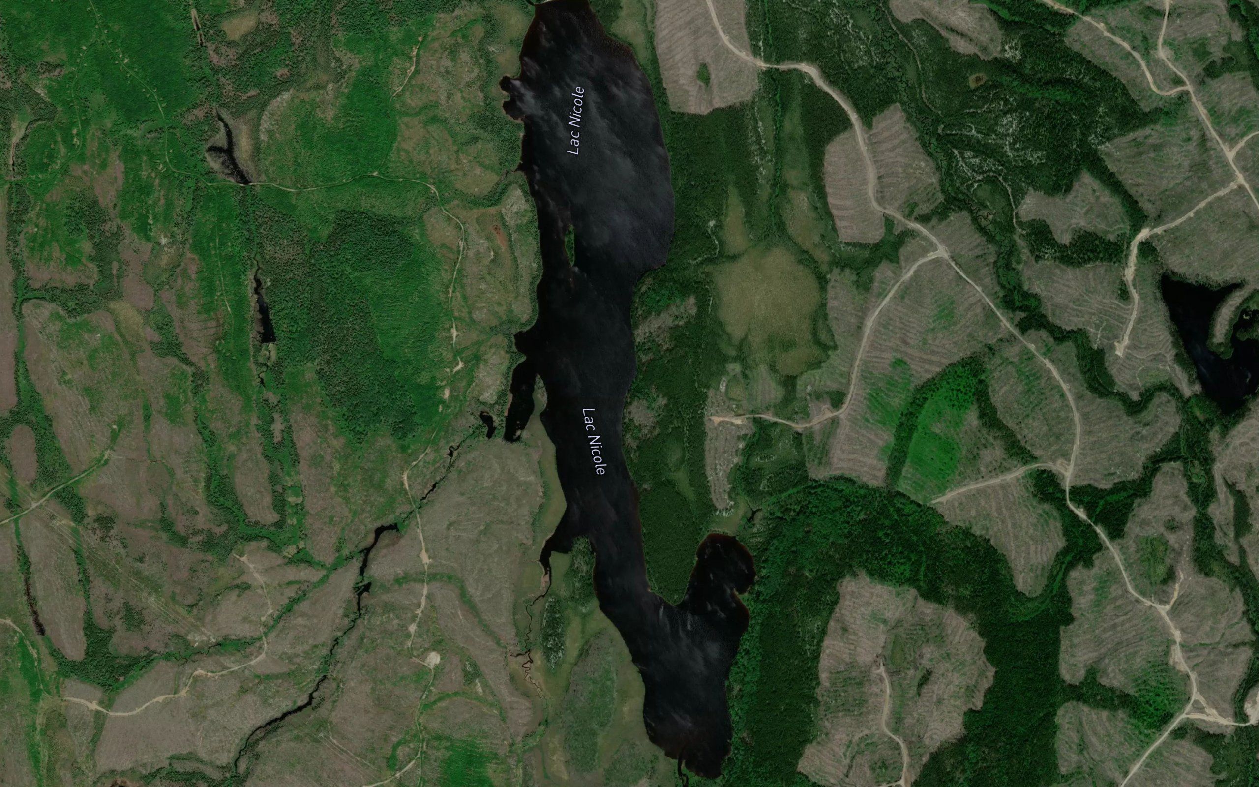 Lac Nicole
