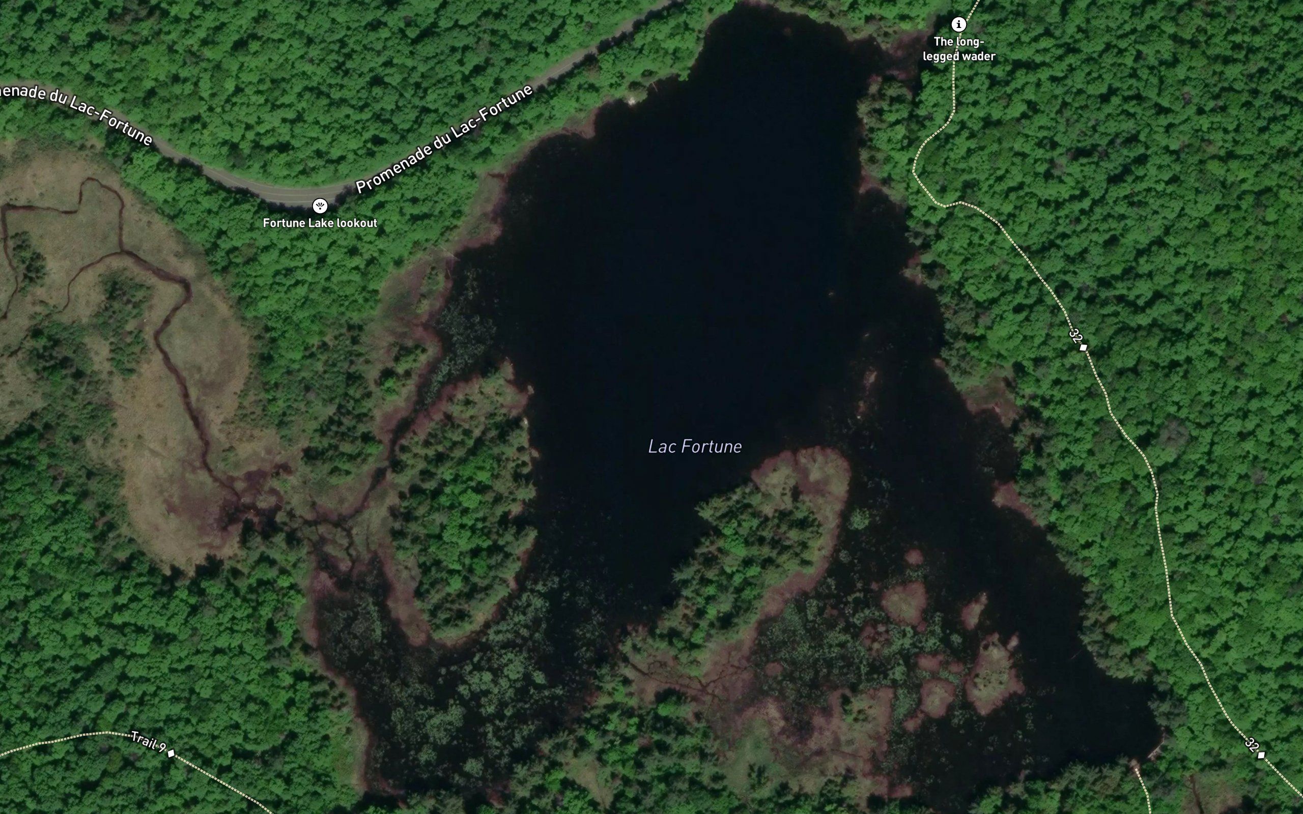 Lac Fortune
