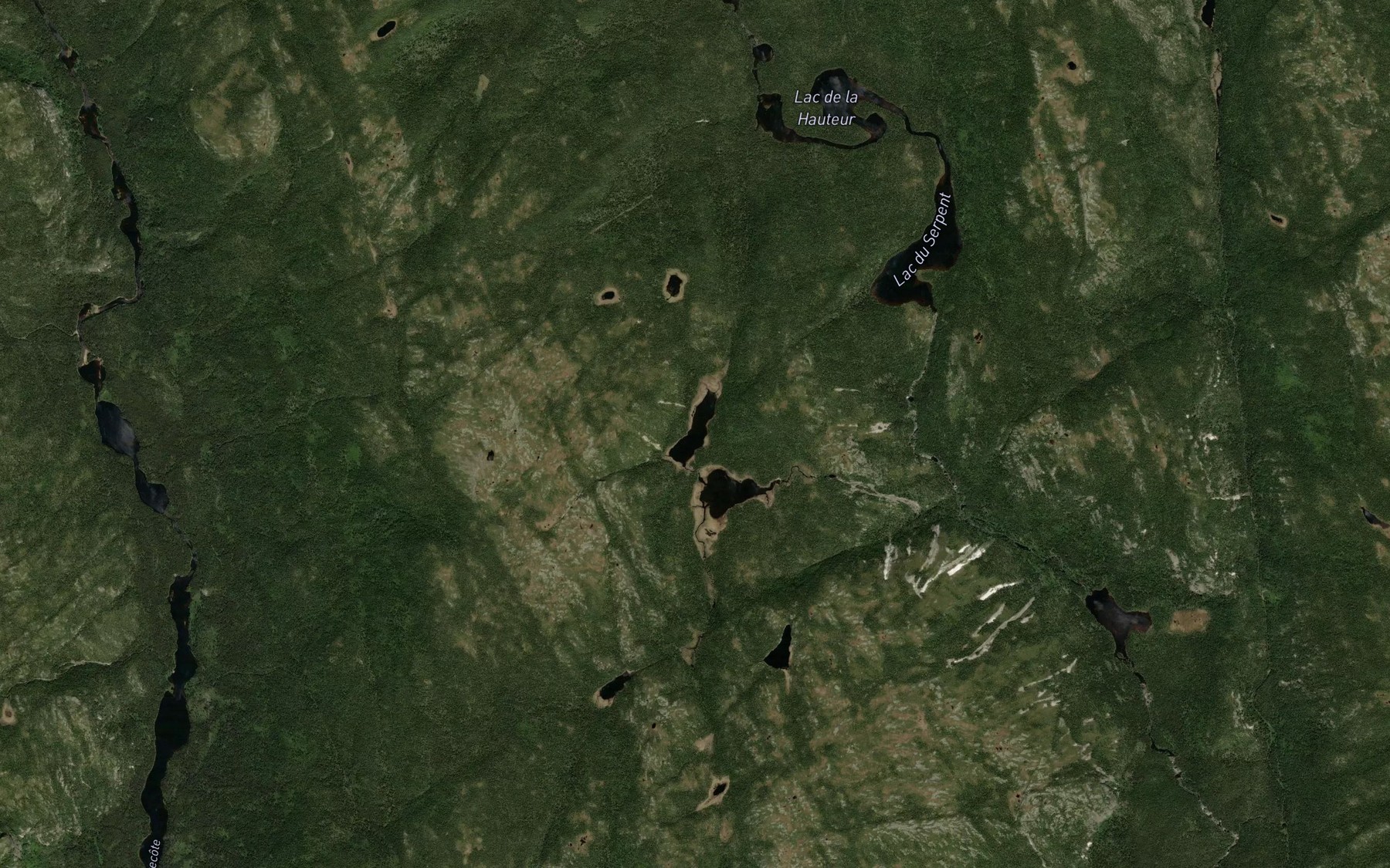 Satellite map of the Lac des Foulees Franches