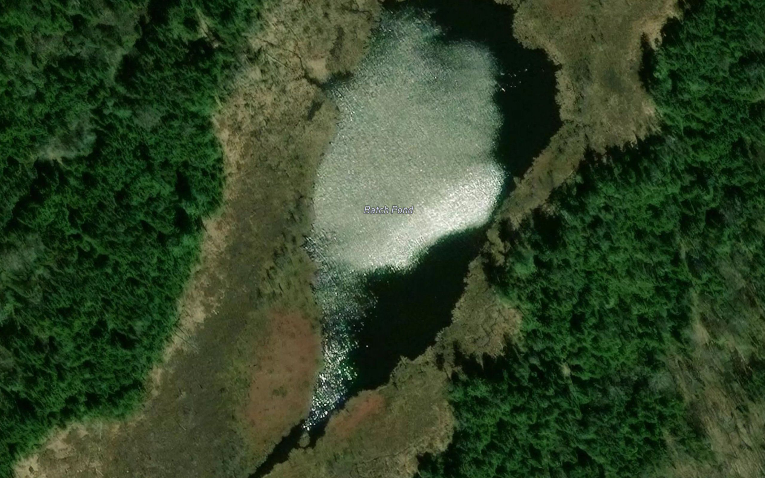 Batch Pond