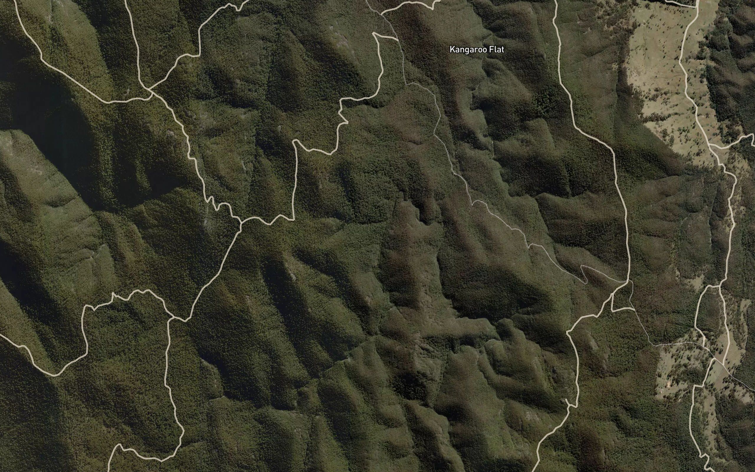 Blacks Camp Gully