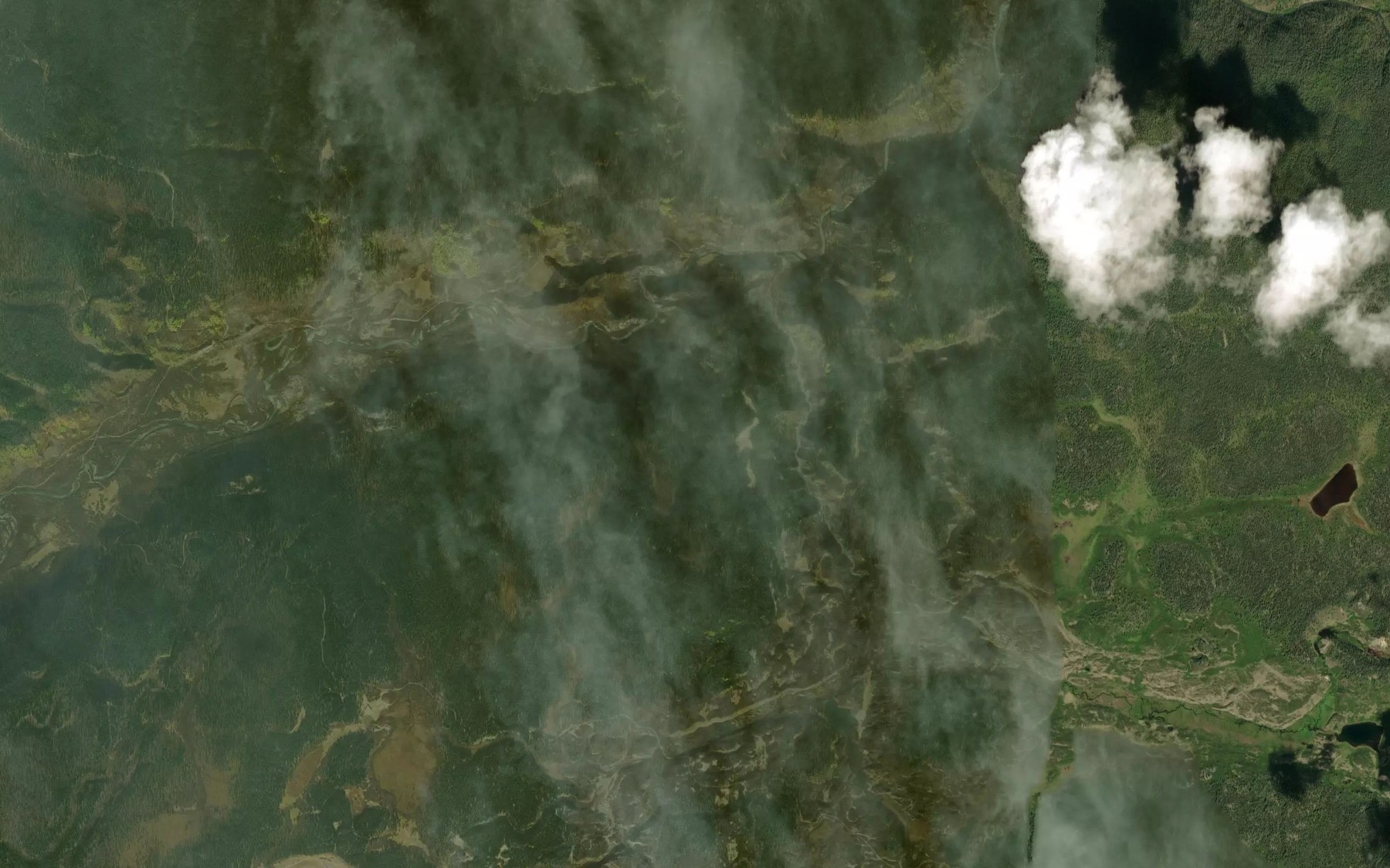 Satellite map of the Old Bell Creek
