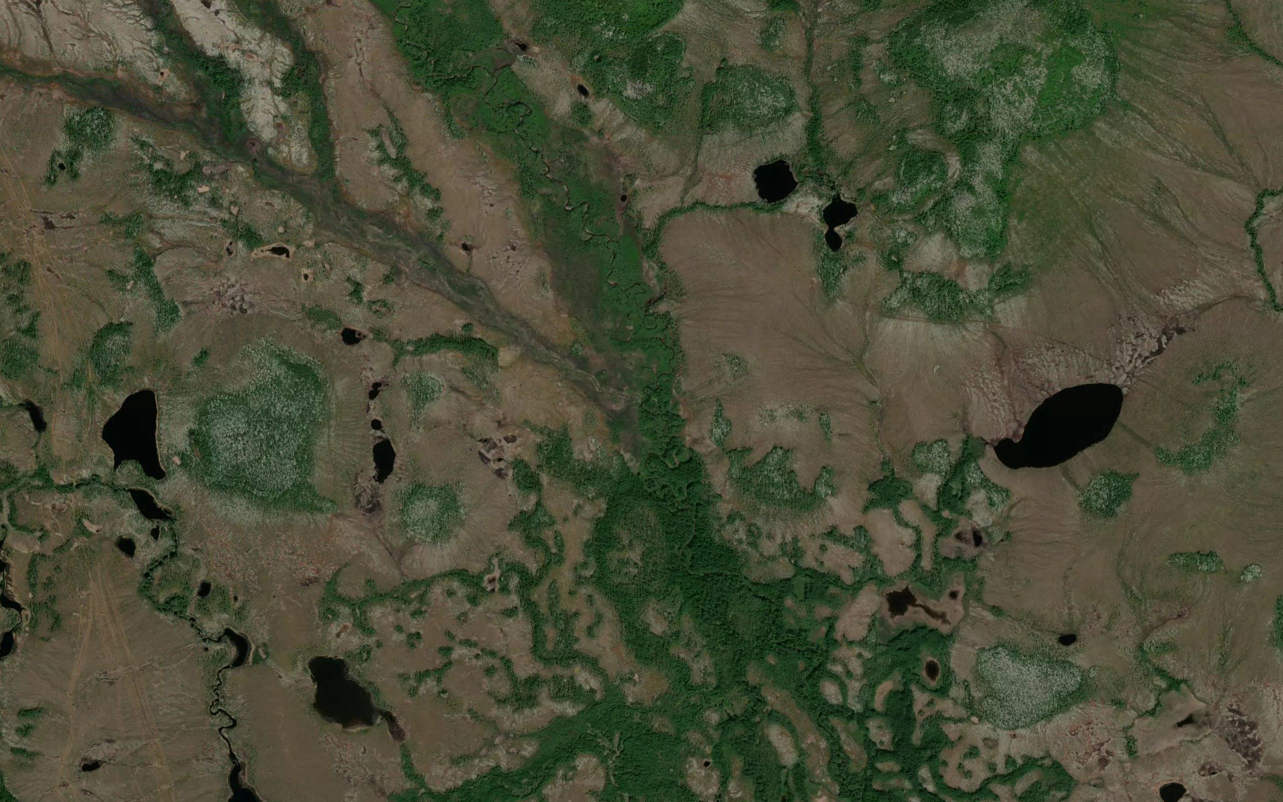 Nyrok