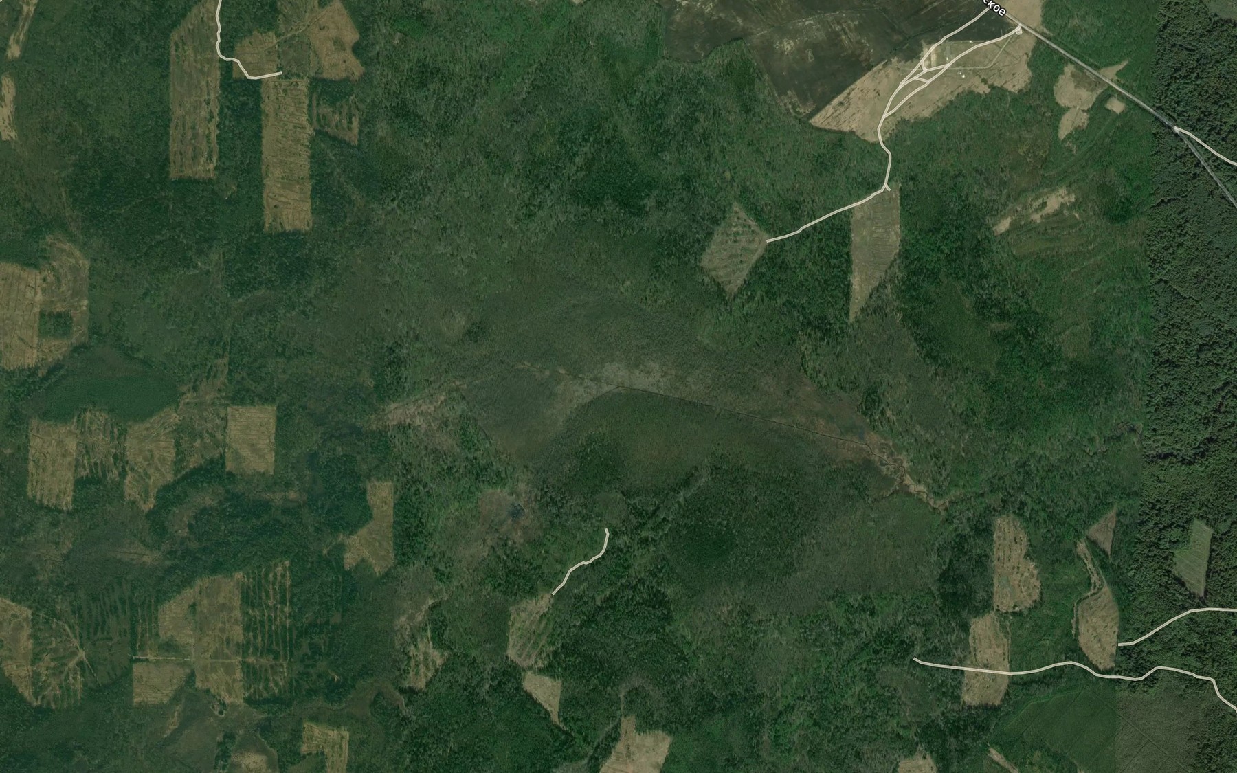 Satellite map of the Chernyy