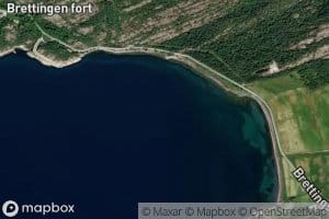 Roytvika