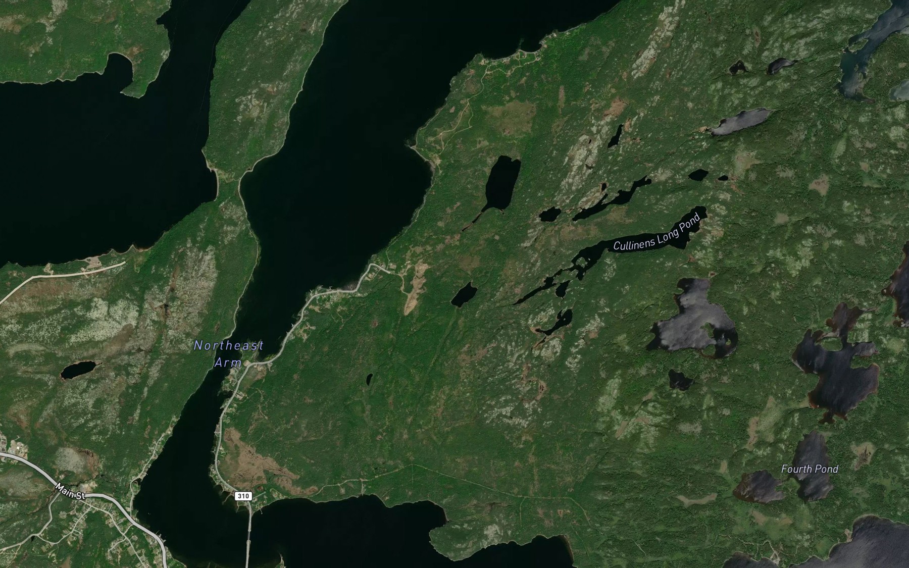 Satellite map of the Dam Pond