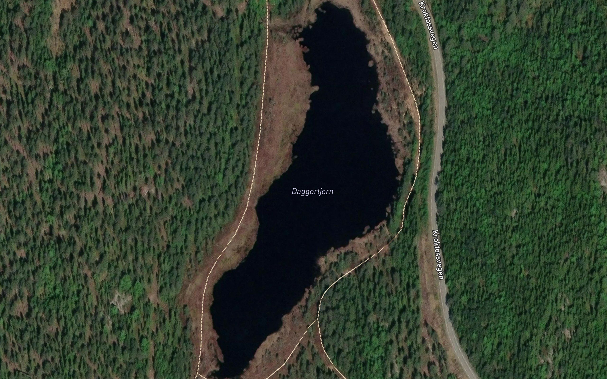 Daggertjern
